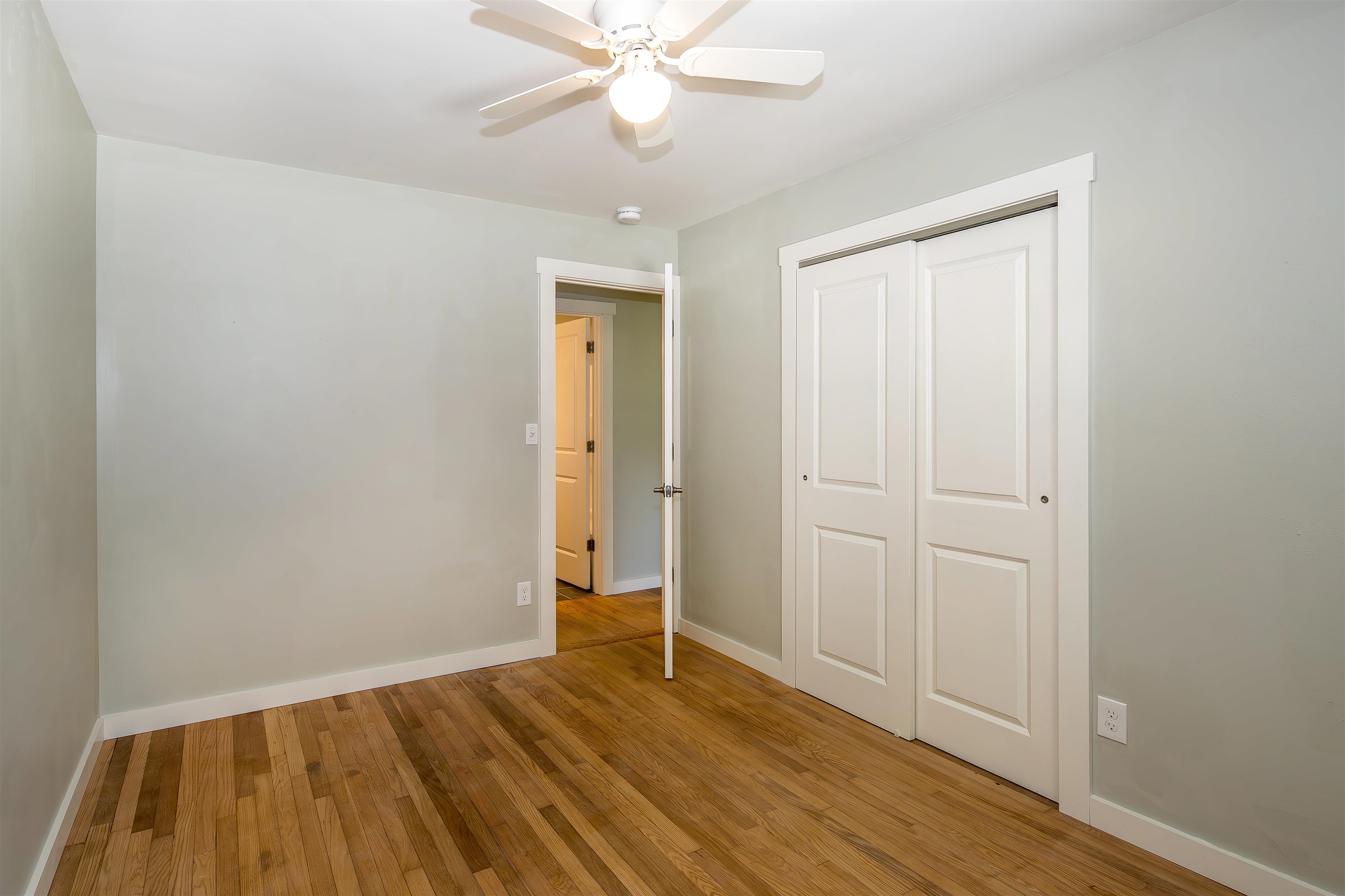 39 Williams Street photo 20