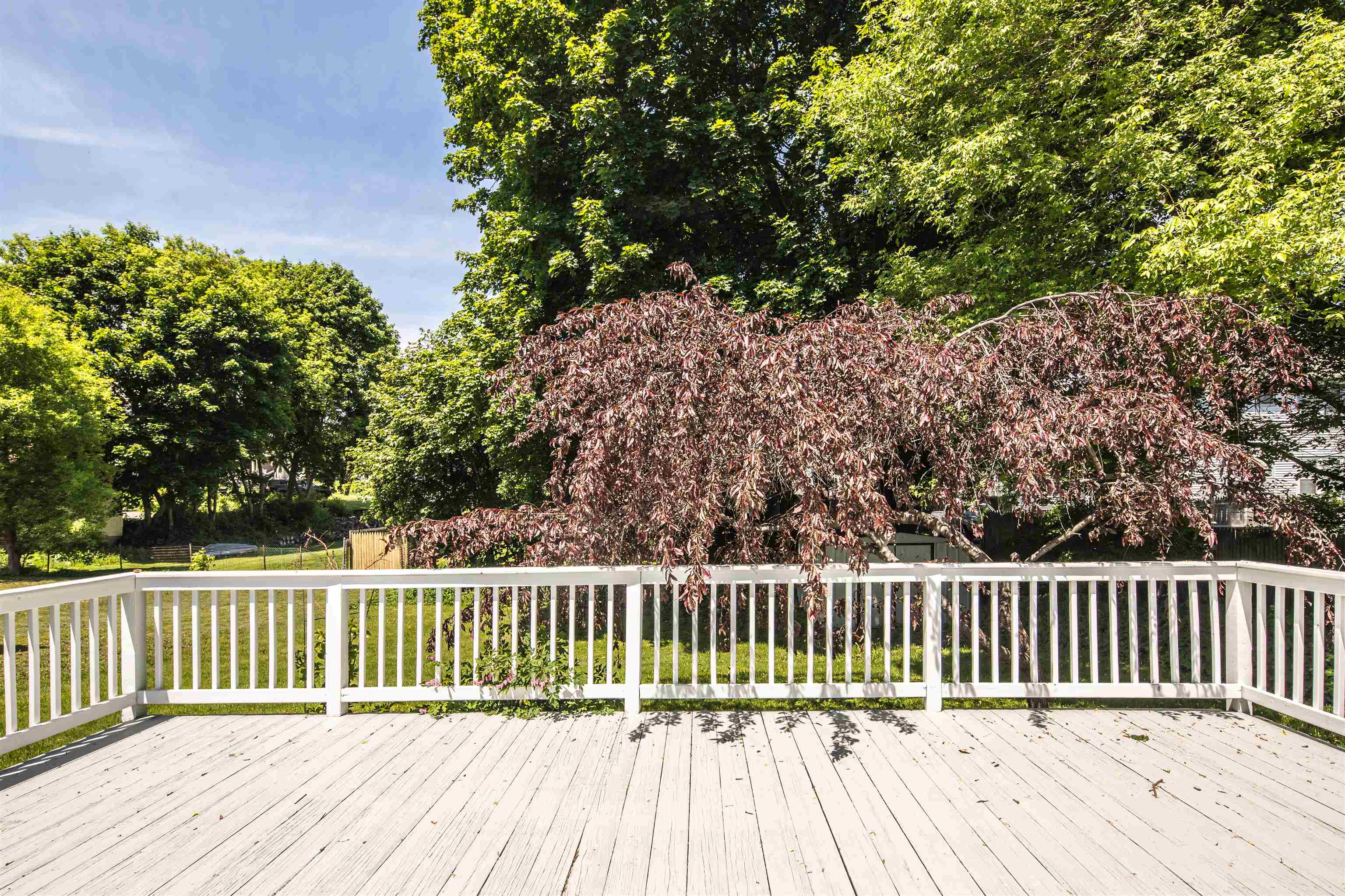 39 Williams Street photo 25