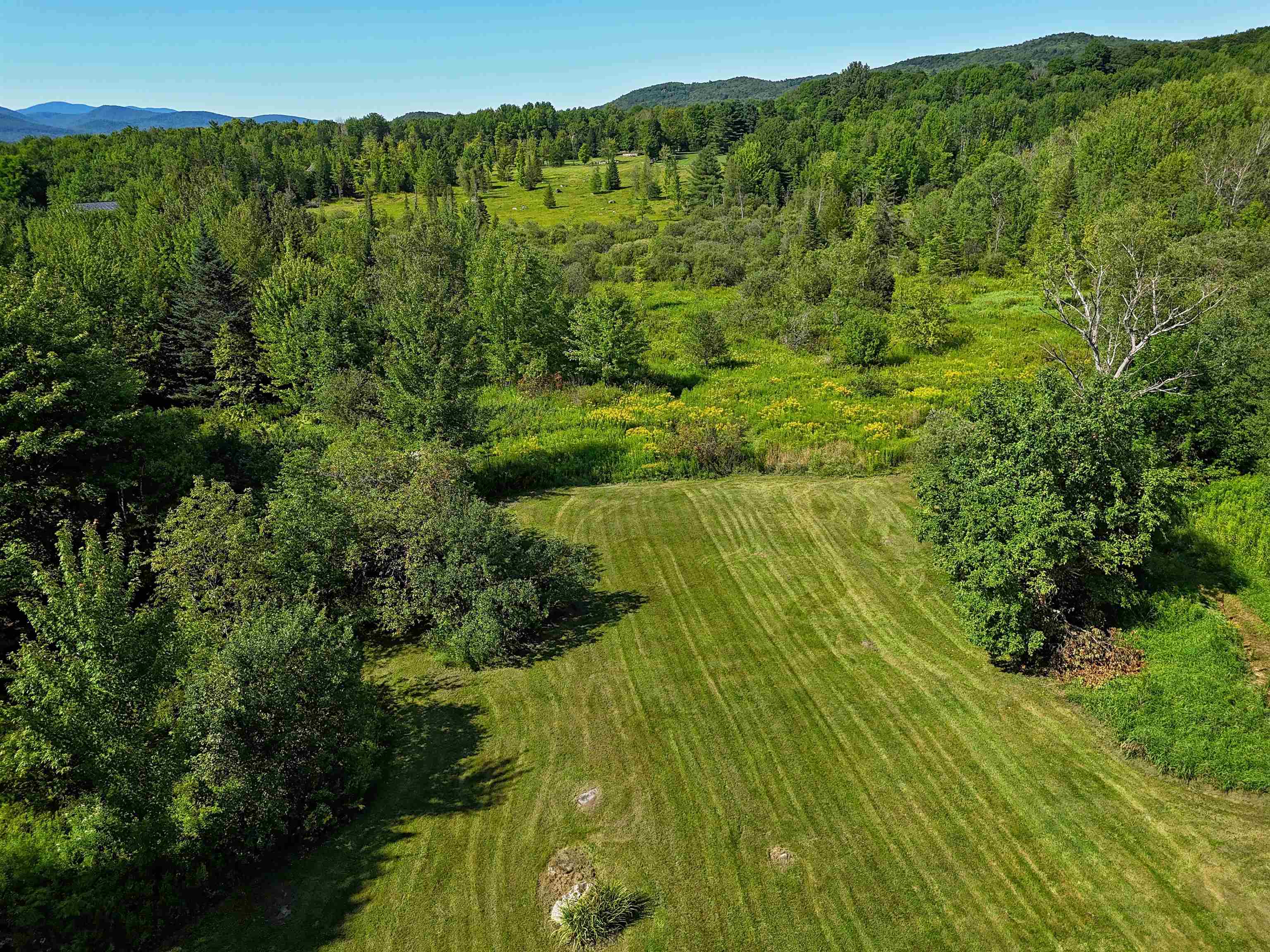 2941 Center Road photo 40