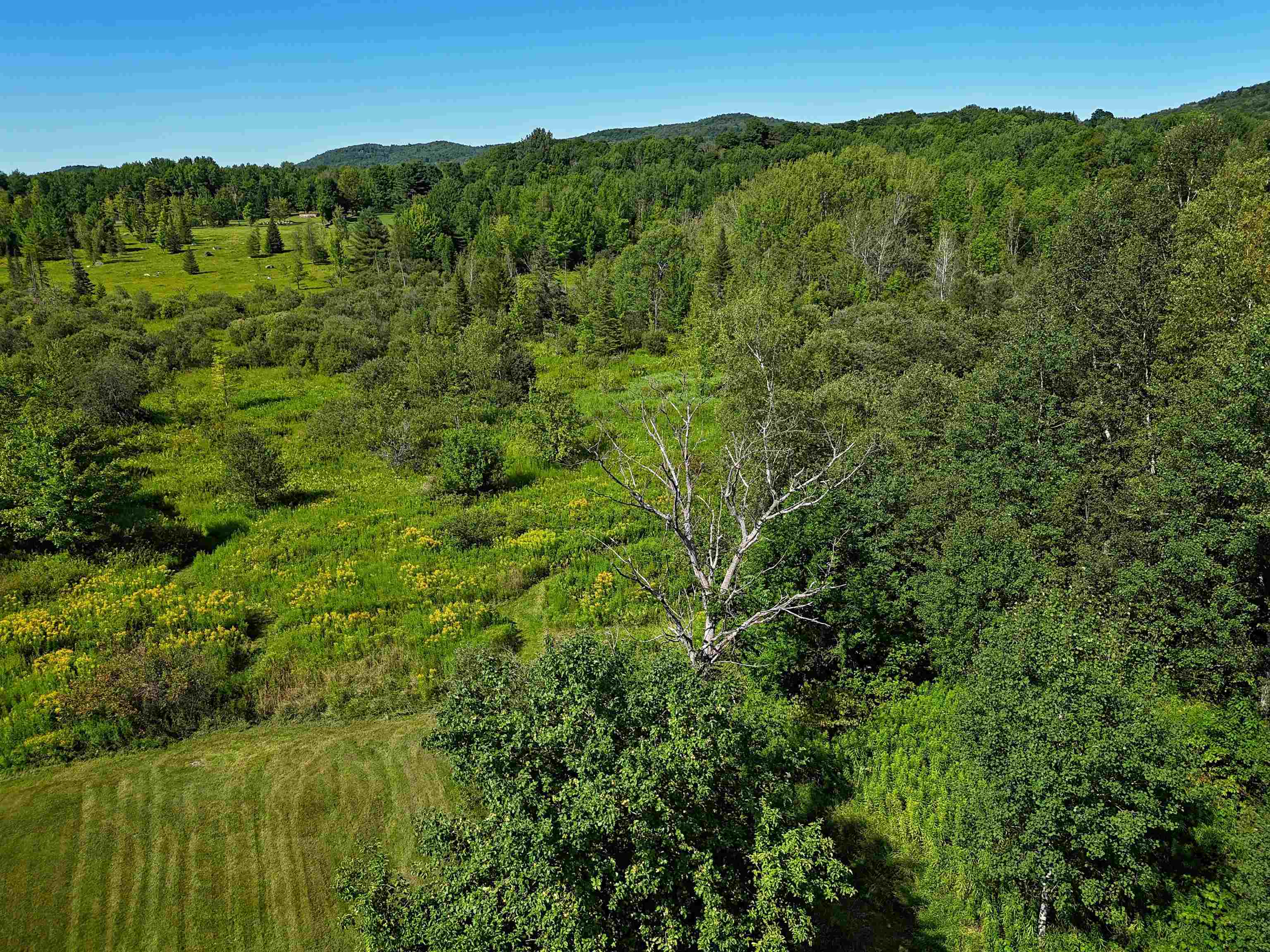 2941 Center Road photo 42