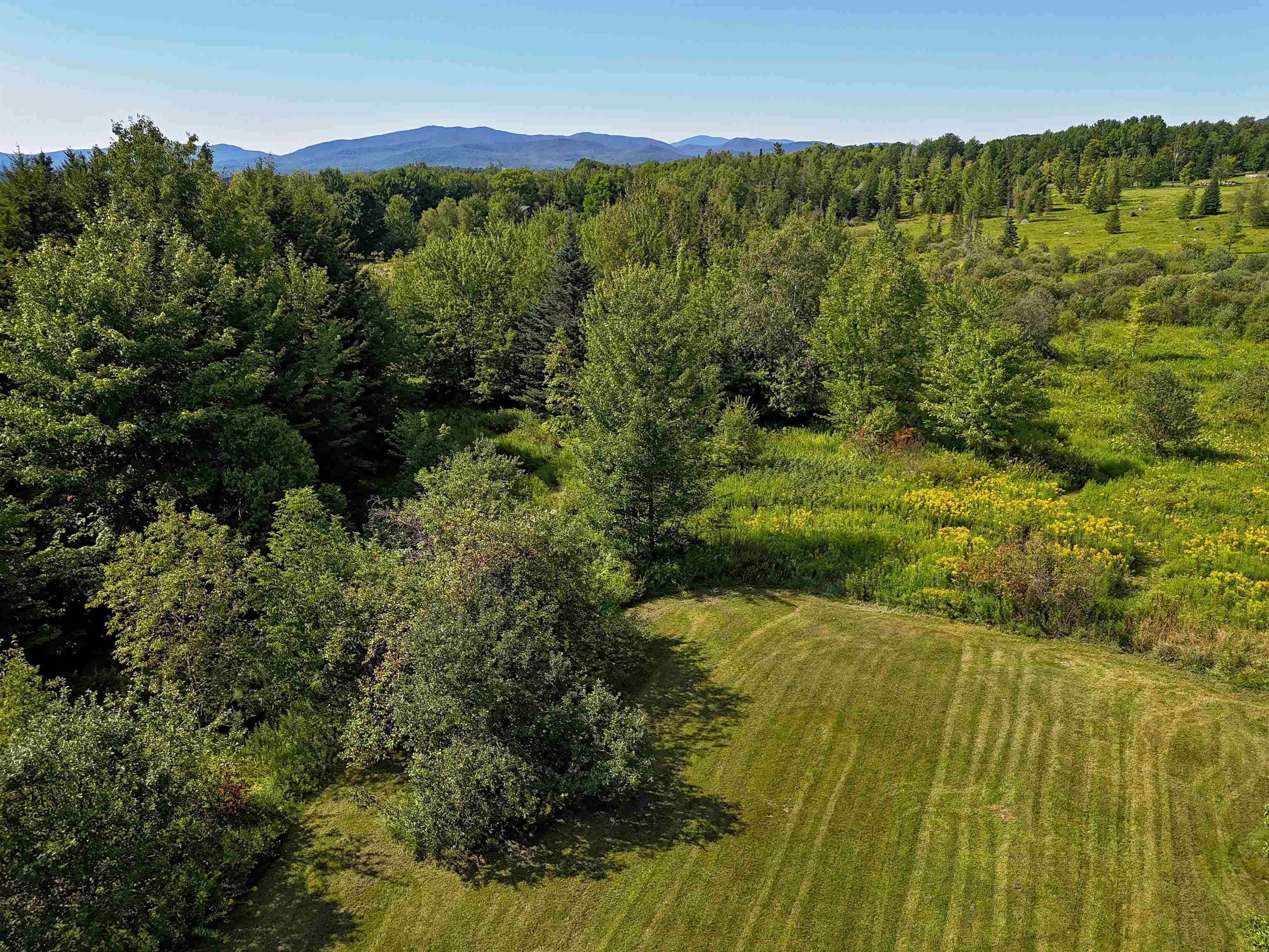 2941 Center Road photo 43
