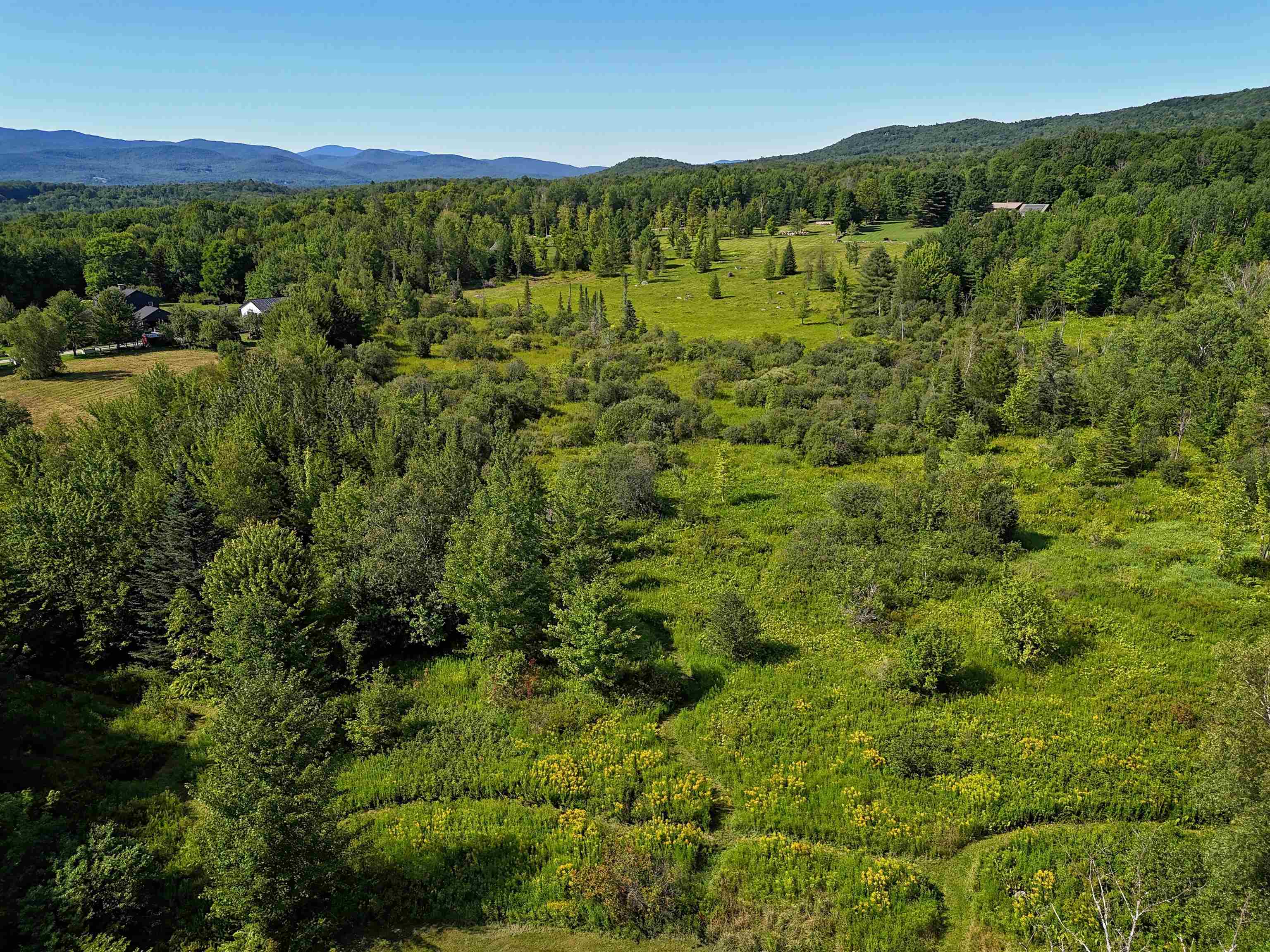 2941 Center Road photo 44