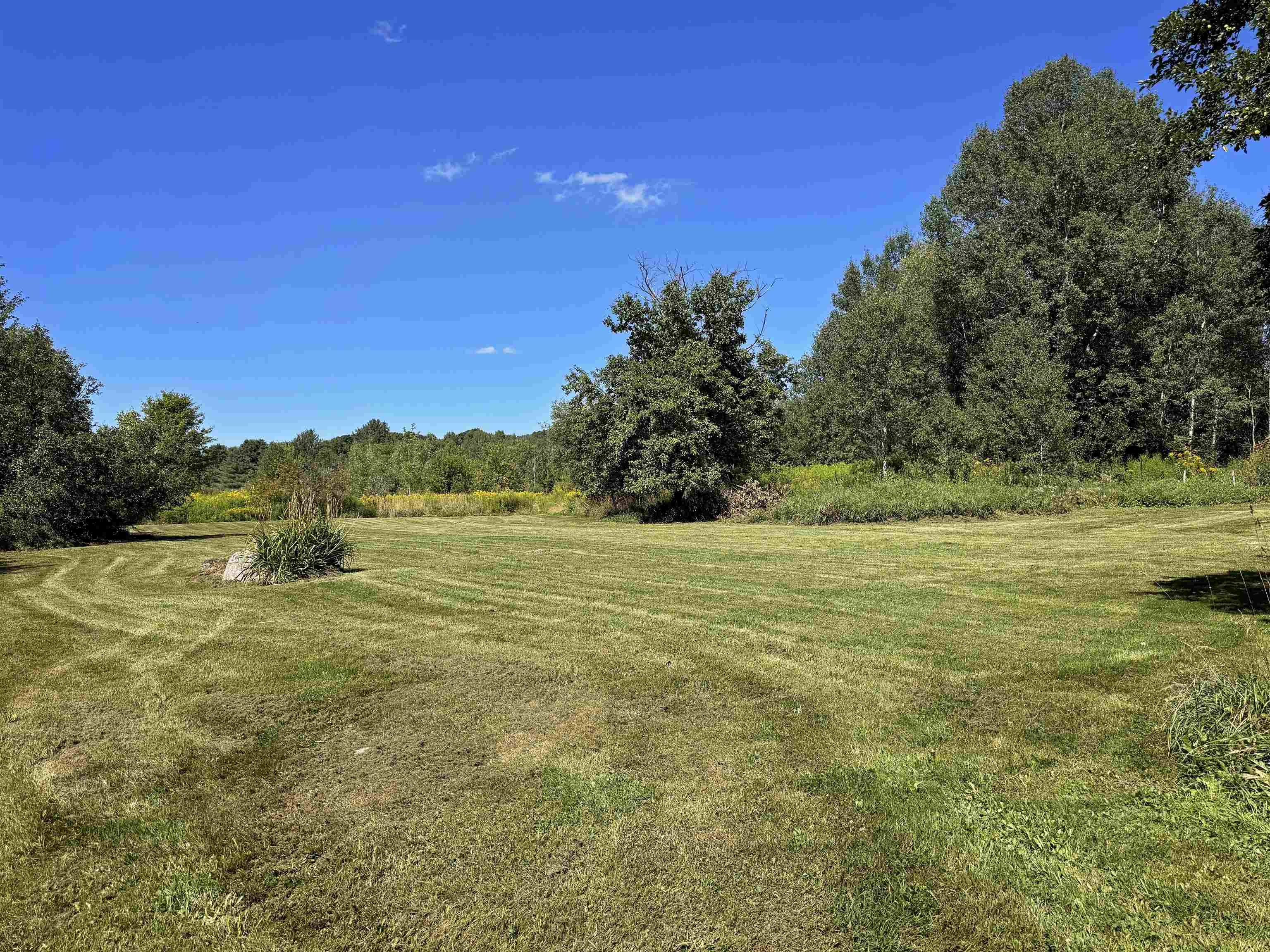 2941 Center Road photo 9