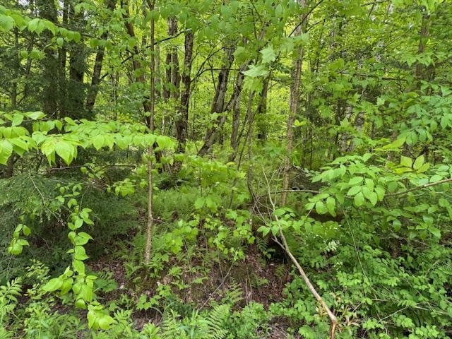 near 469A McNall Road Fairfax, VT 05454 Property 3