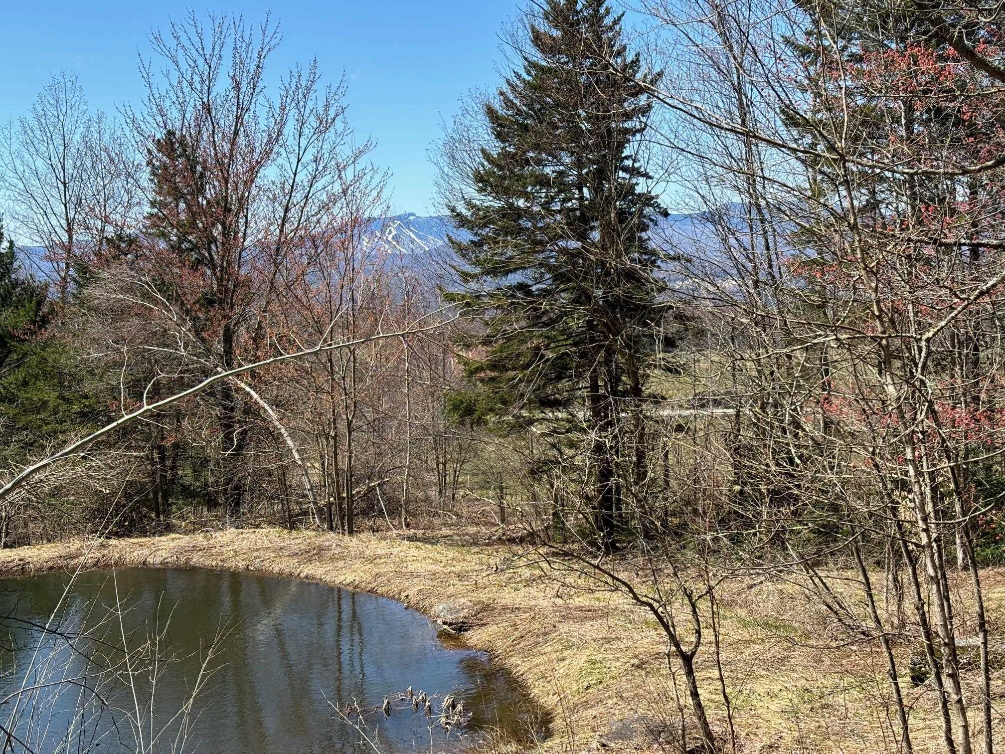 near TBD Darling Road Morristown, VT 05661 Property 2