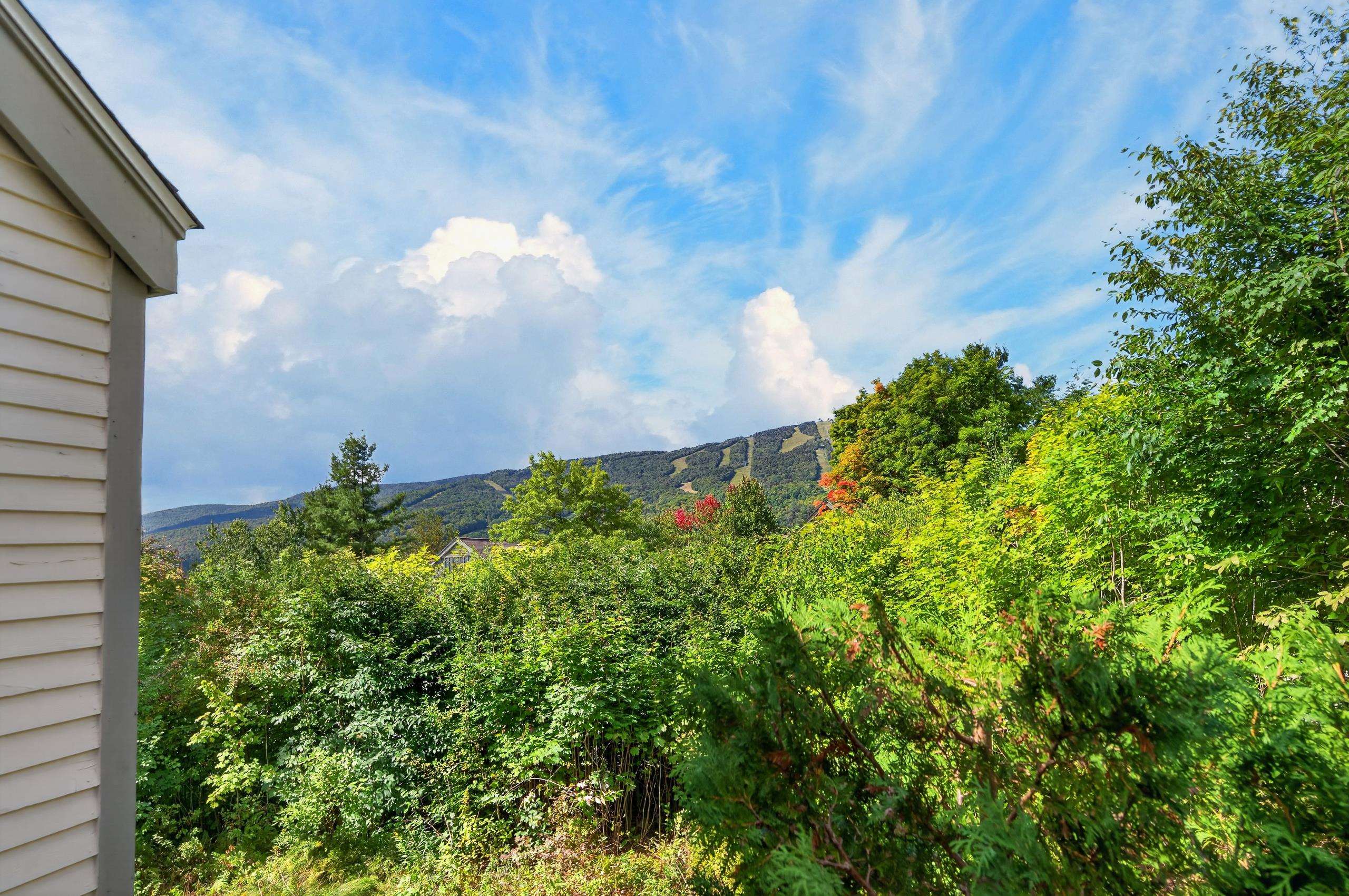 82C Greenspring Road photo 3