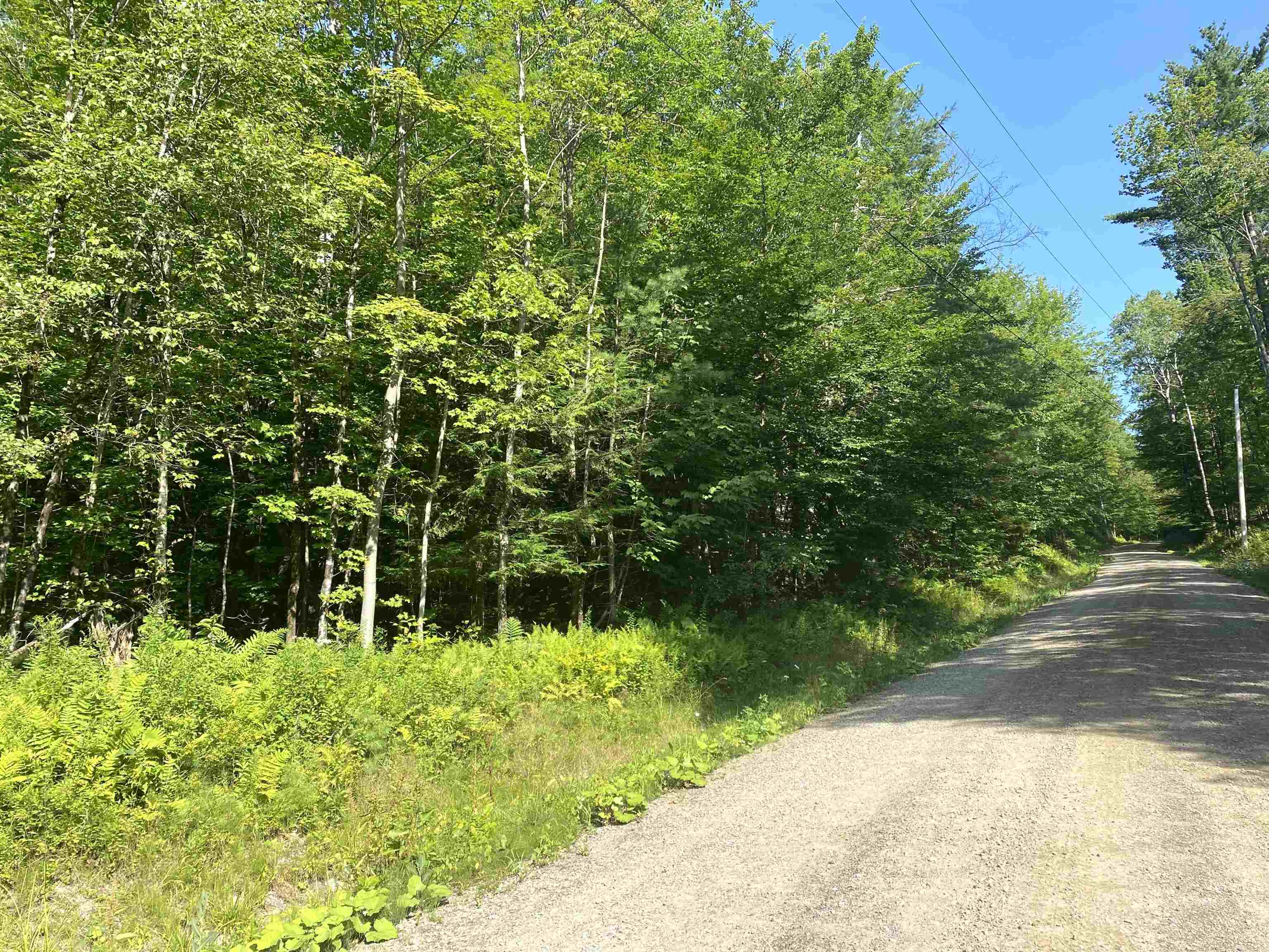 near LOT 4 Lincoln Road Ripton, VT 05766 Property 1