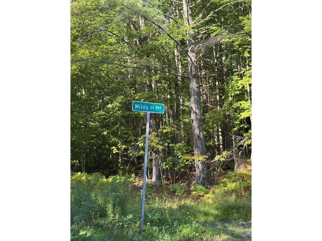 near 00 Frank