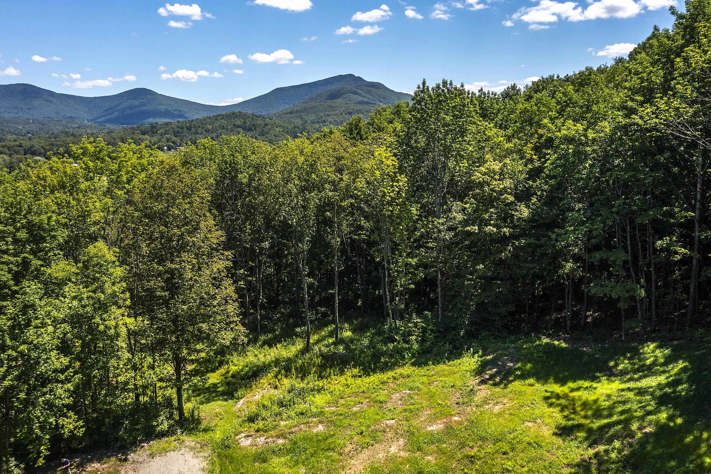 near X Mt. Aeolus Road Manchester, VT 05255 Property 1