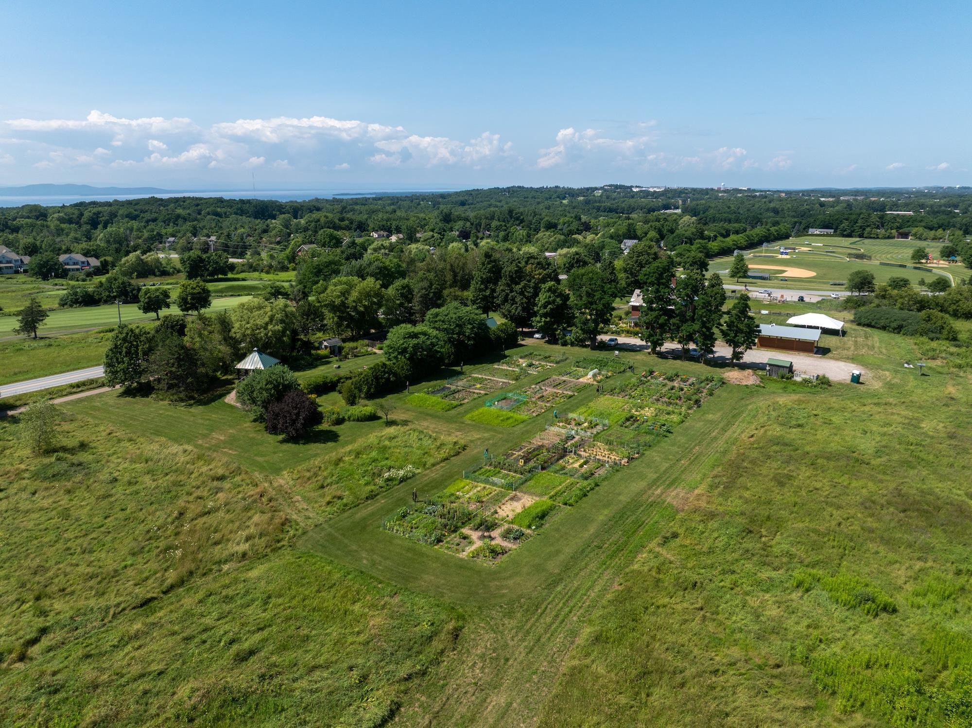Lot #12 Wheeler Park photo 14