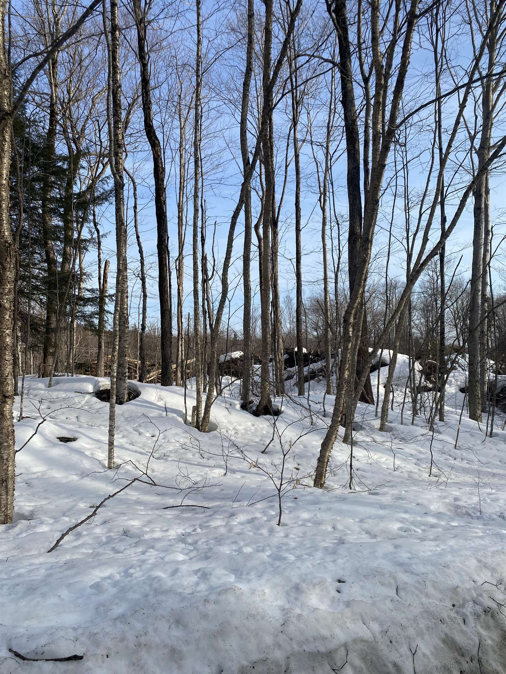 near 0 Happy Haven Road Wilmington, VT 05363 Property 1