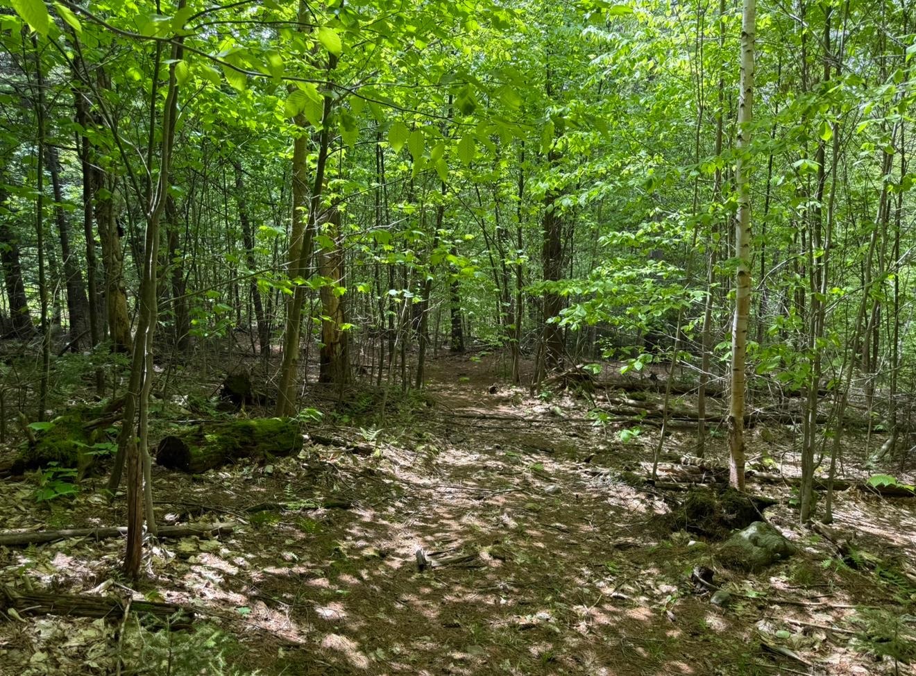 near Lot 3 North Street Dover, VT 05431 Property 2