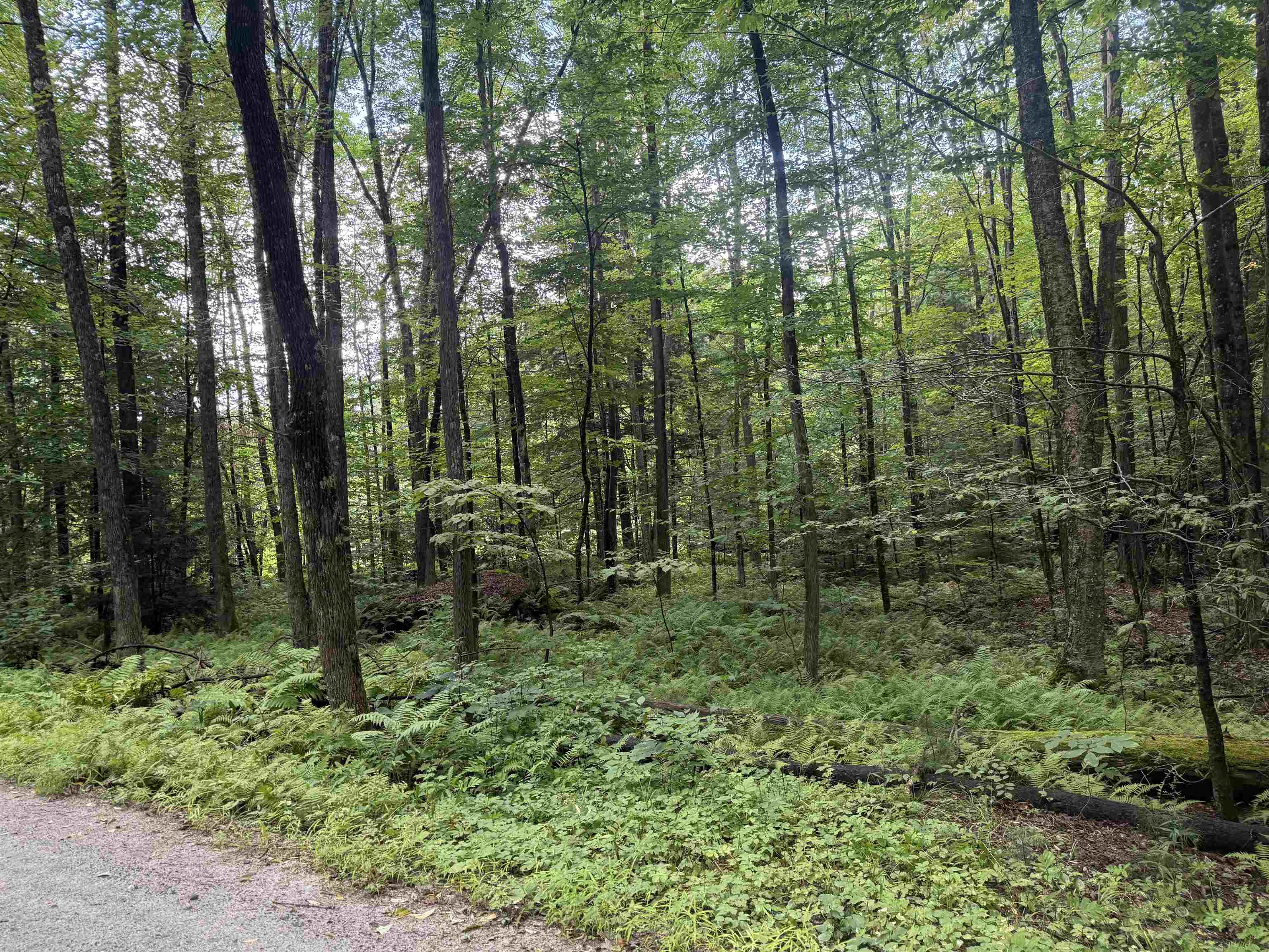 Anderson Road photo 1