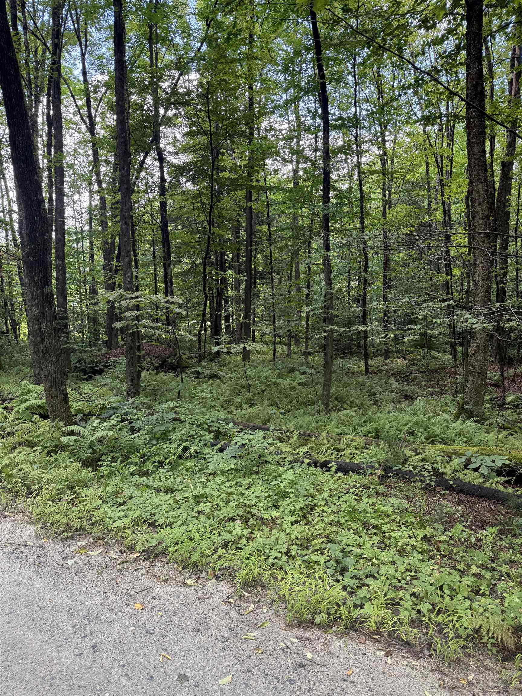 Anderson Road photo 2