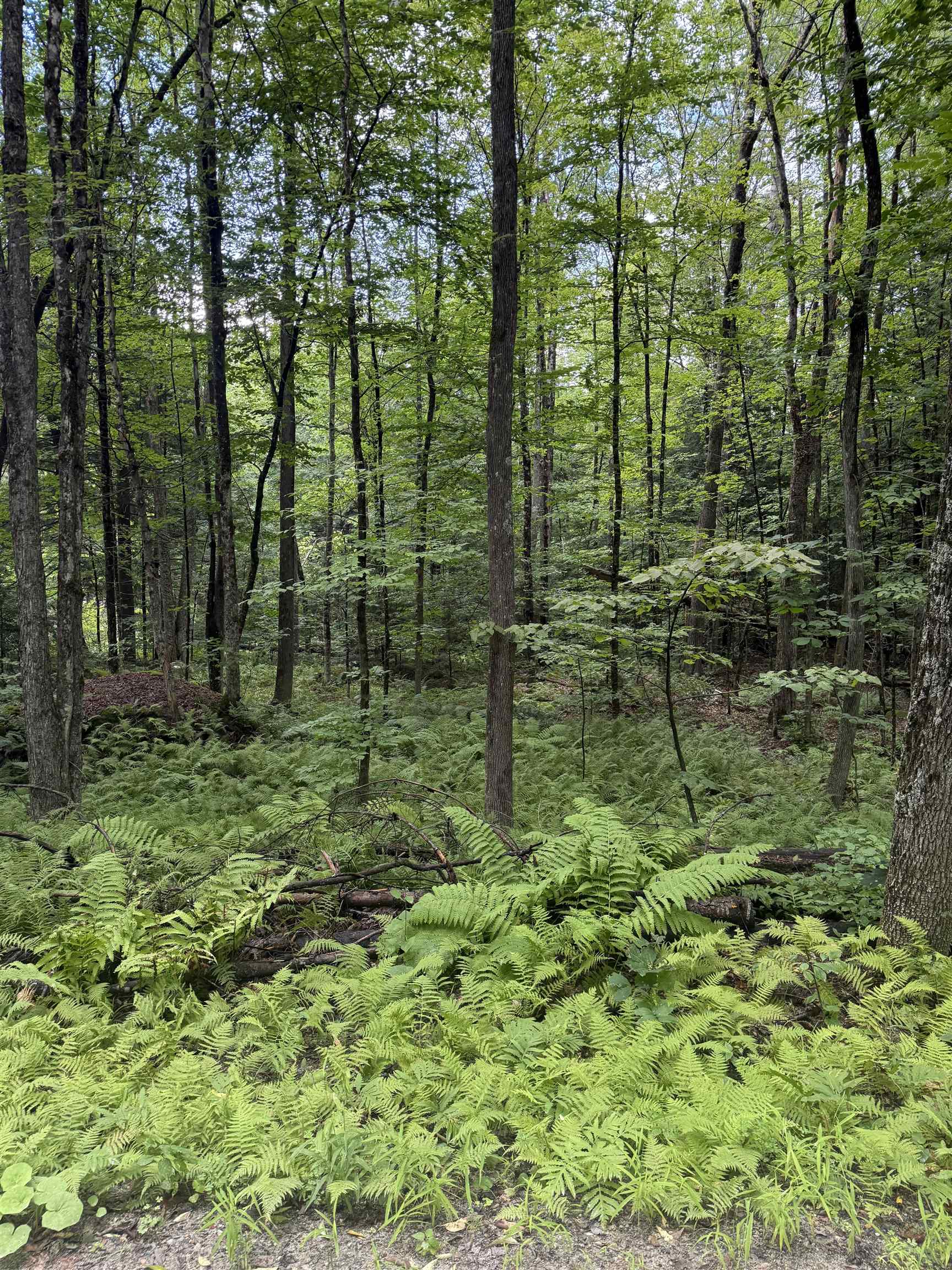 Anderson Road photo 3