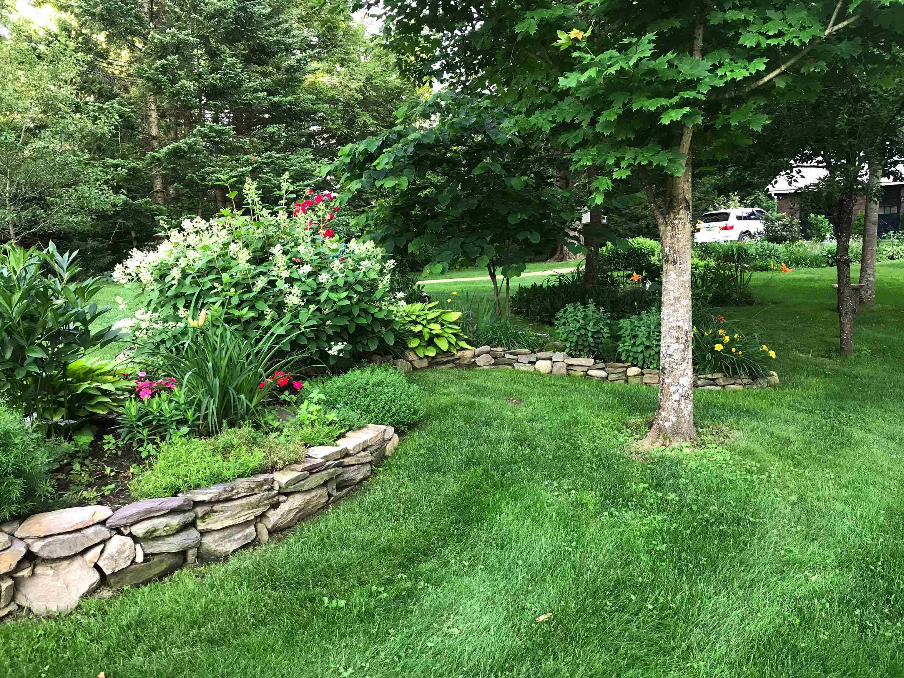 208 JARVIS Road photo 46