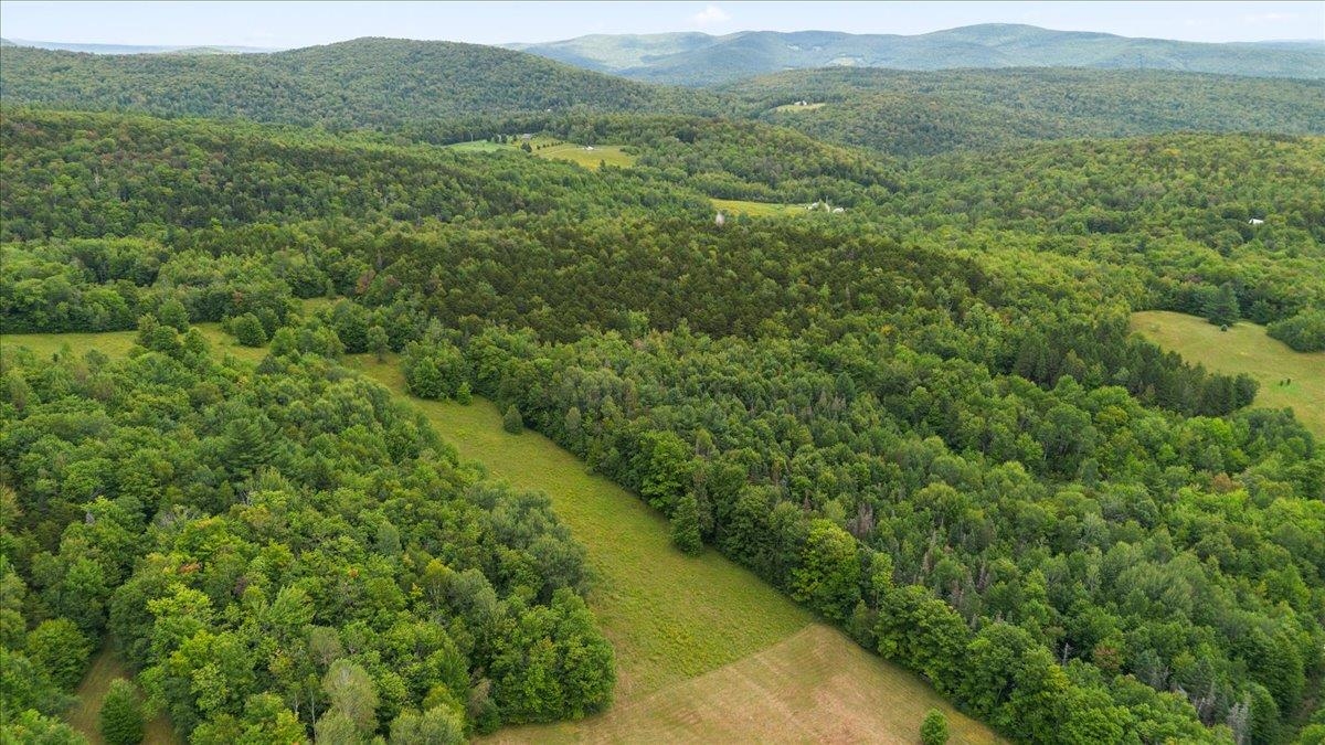 571 Wheeler Road photo 7