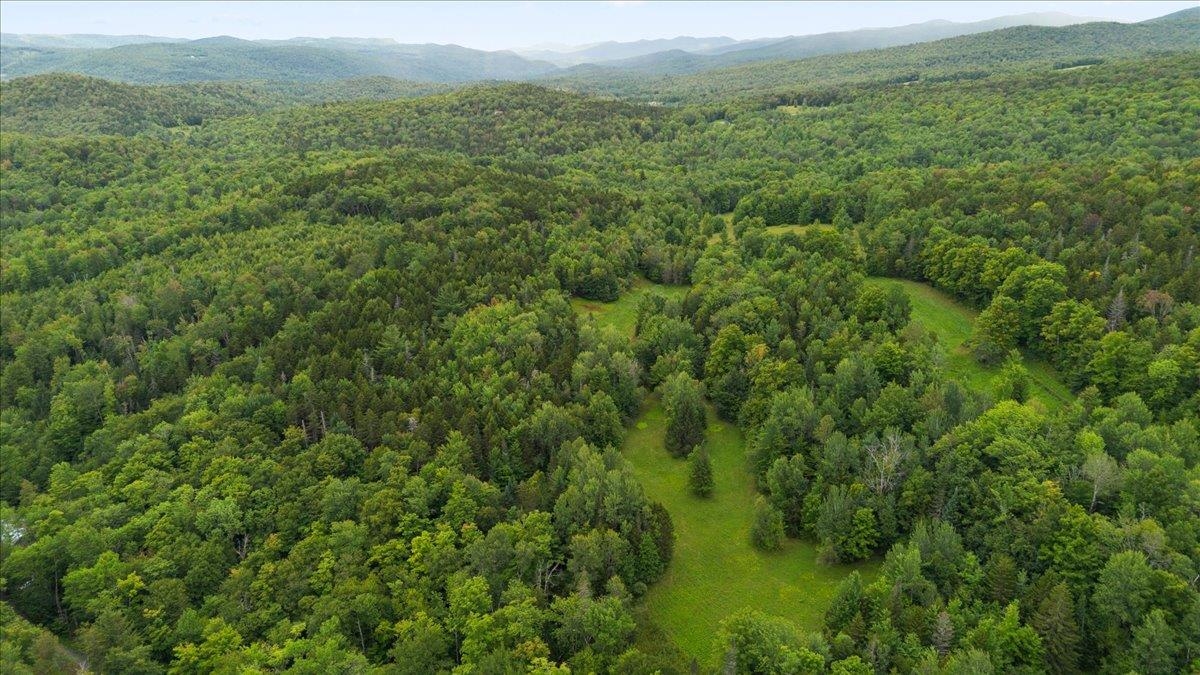 571 Wheeler Road photo 9
