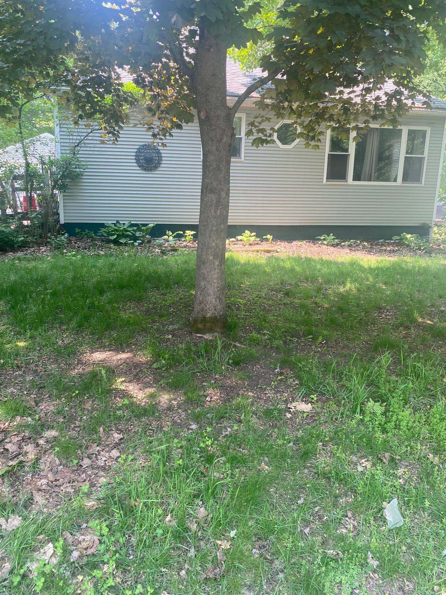 near 105 Lafountain Street Burlington, VT 05401 Property 2