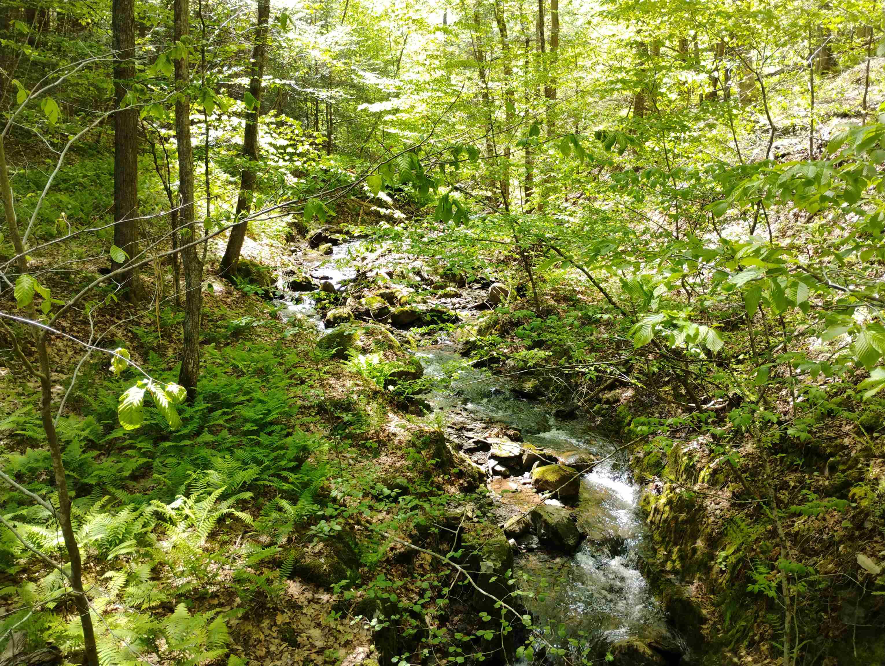 near 0 Huckle Hill Road Vernon, VT 05354 Property 2