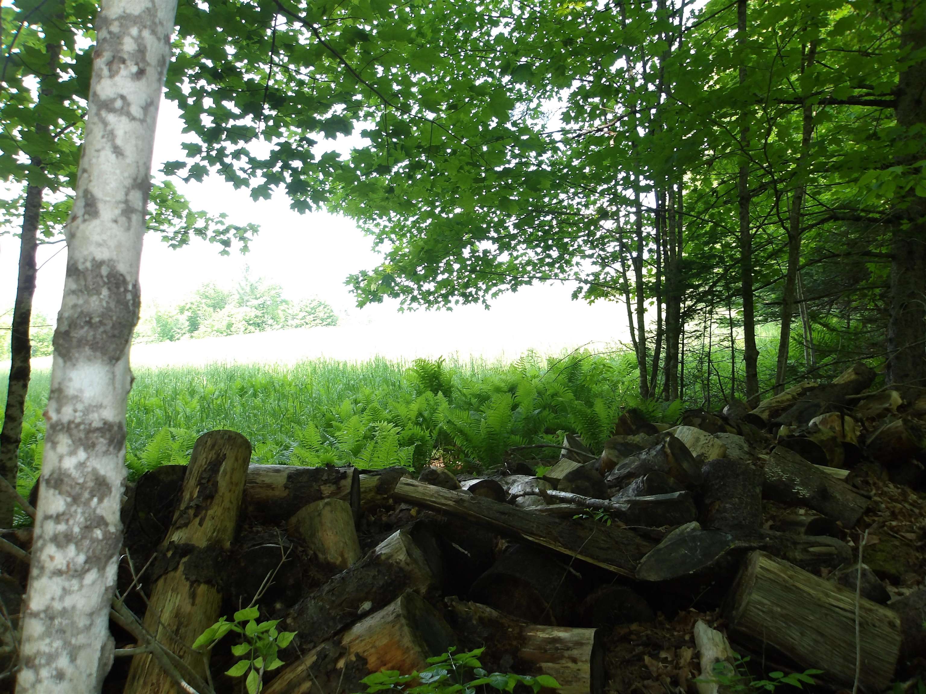 near 00 Sugar House Road St. Johnsbury, VT 05819 Property 1