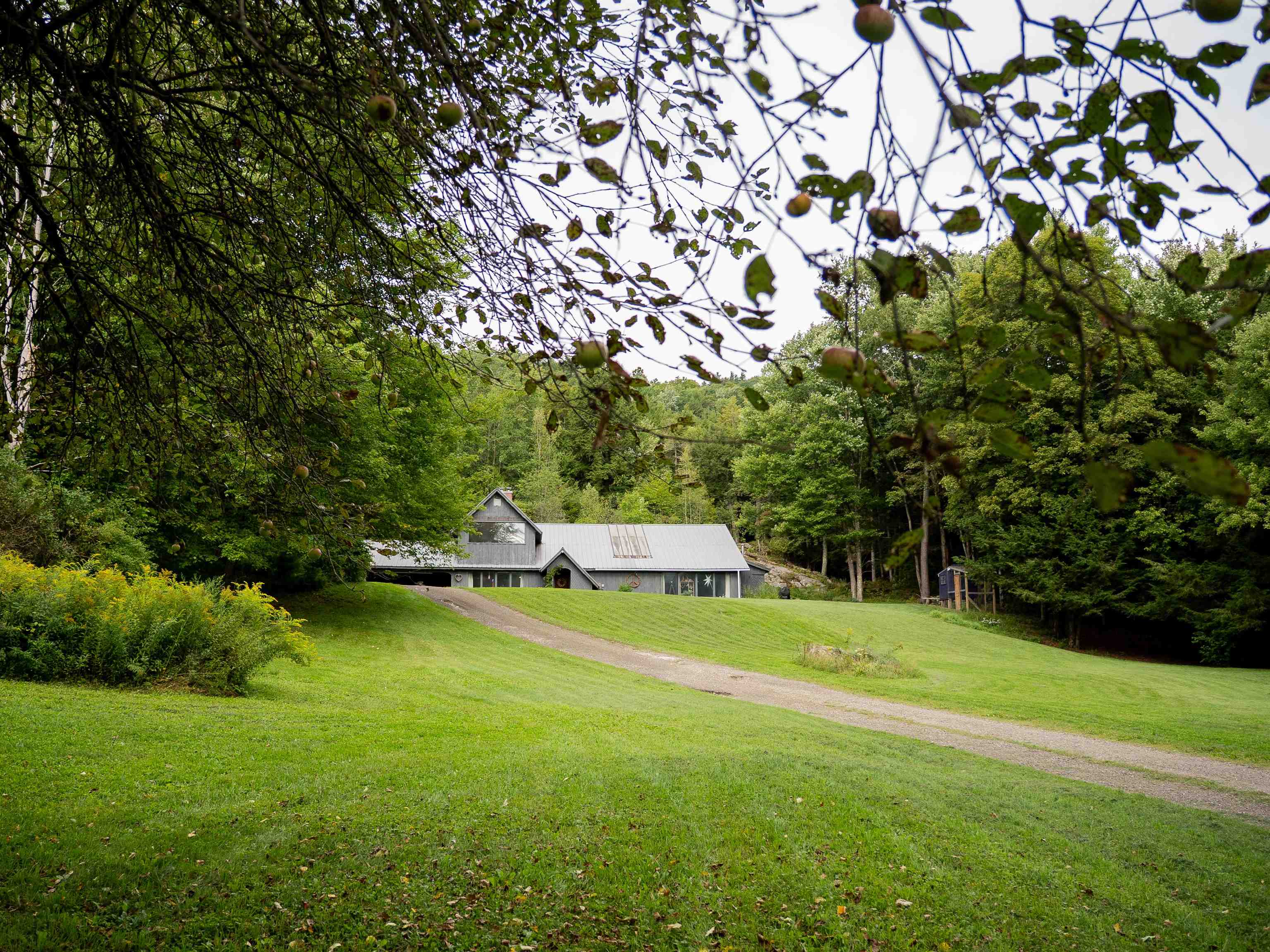 2640 Main Road photo 3