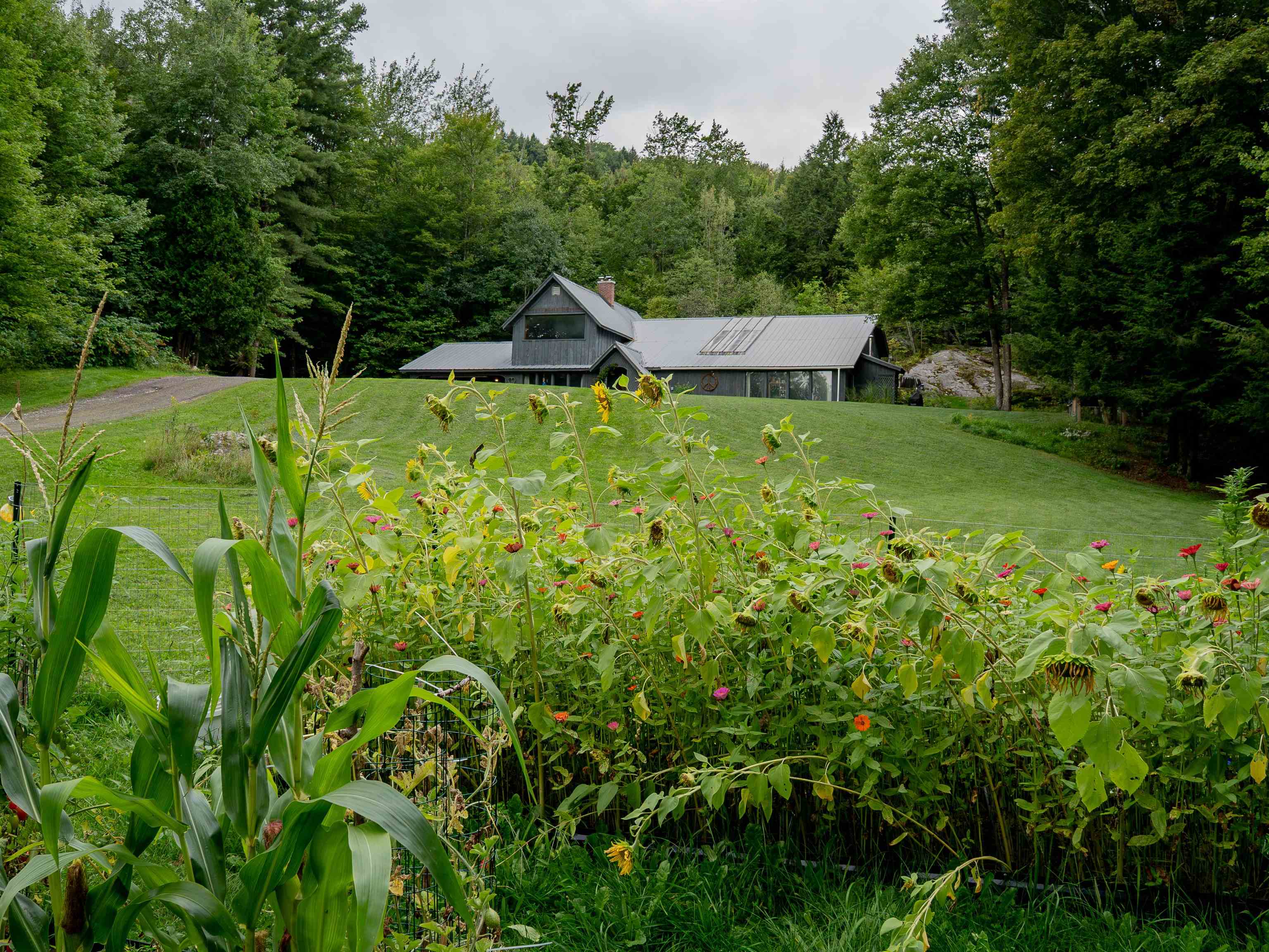 2640 Main Road photo 36