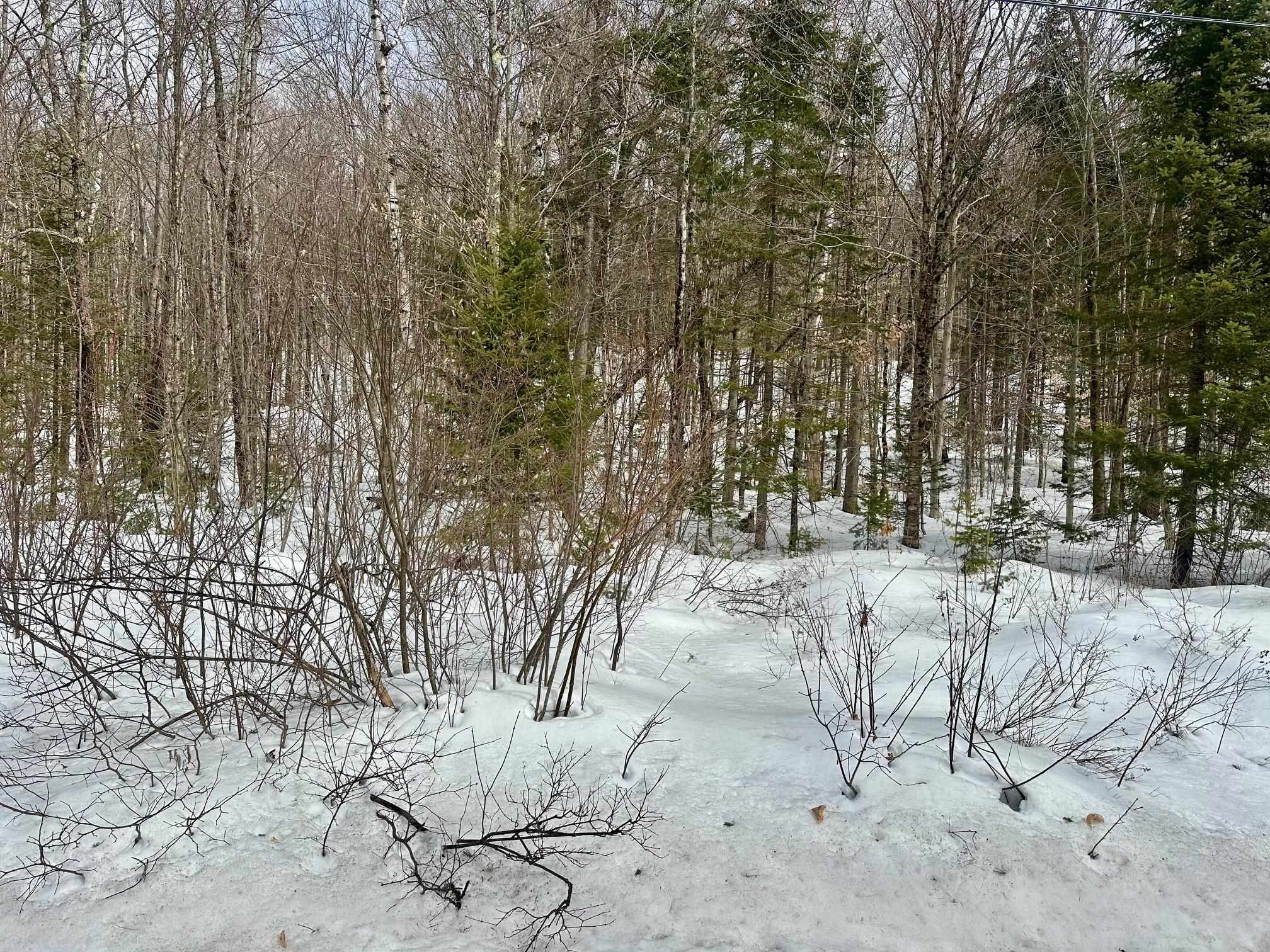 near 0 Stratton View Road Winhall, VT 05340 Property 3