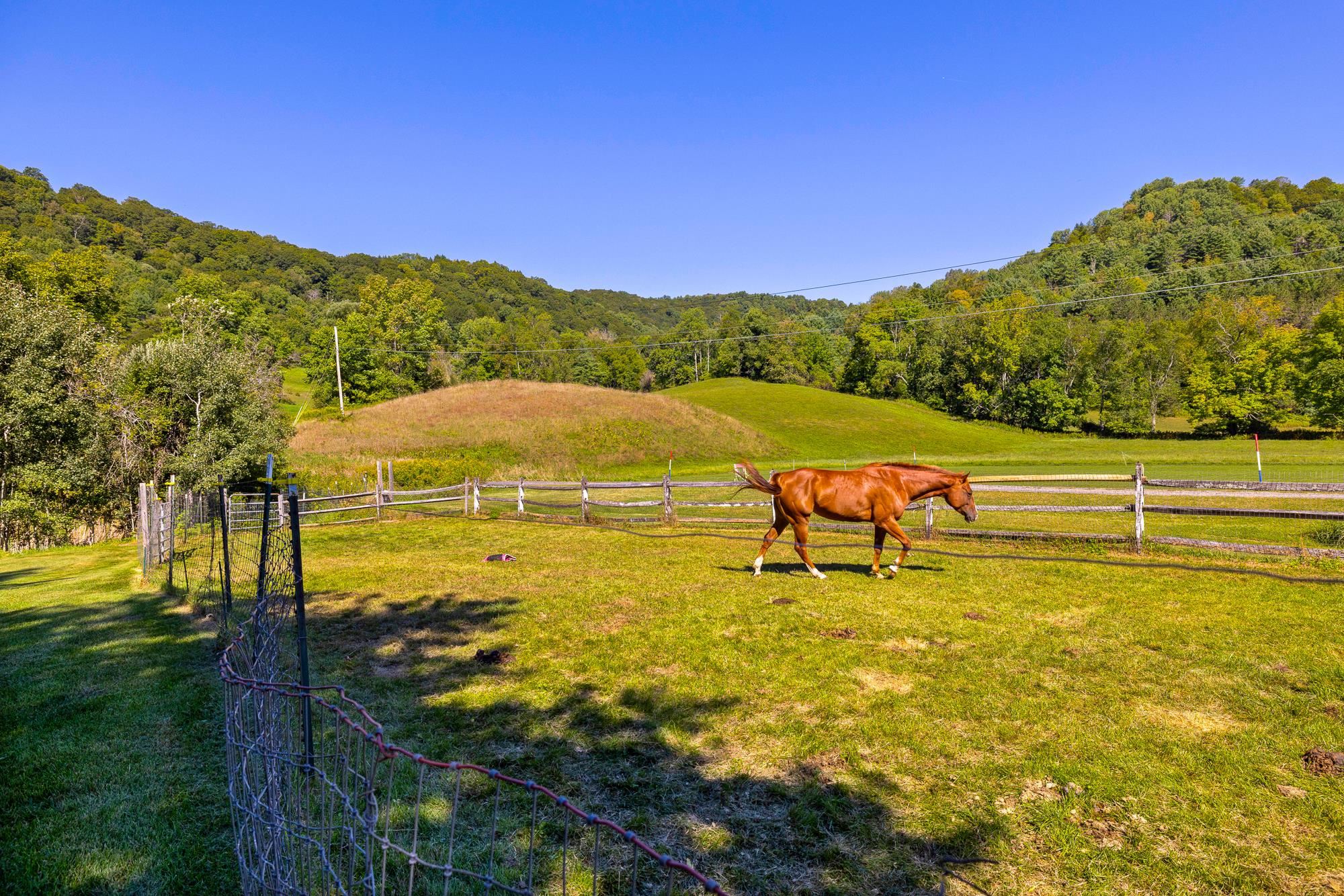 499 VT Route 110 photo 41