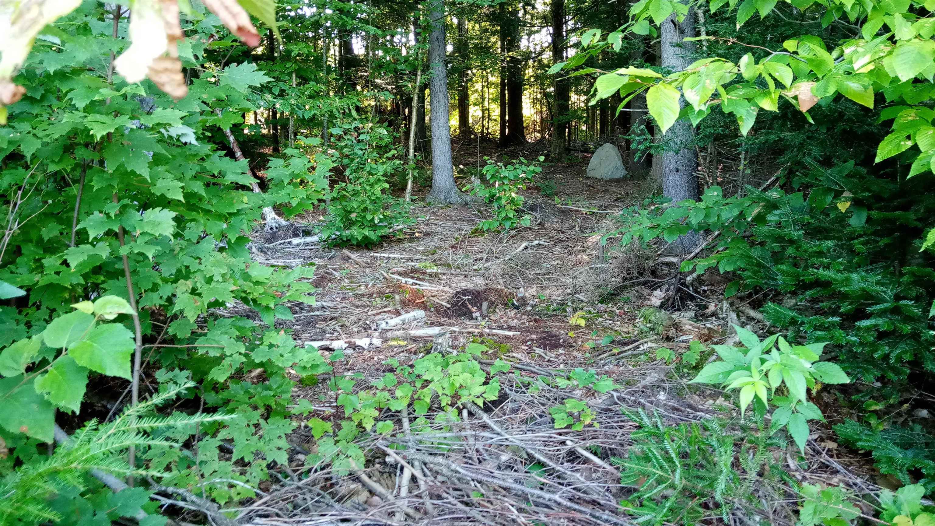 near 00 Corley Road Wolcott, VT 05680 Property 1