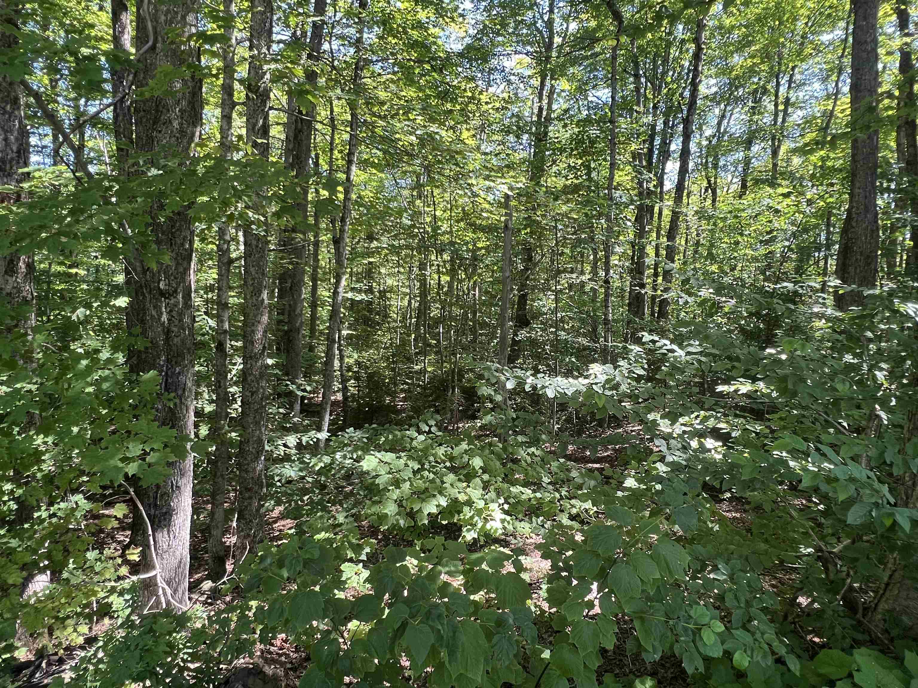 near 9 Barber Road Dover, VT 05356 Property 2