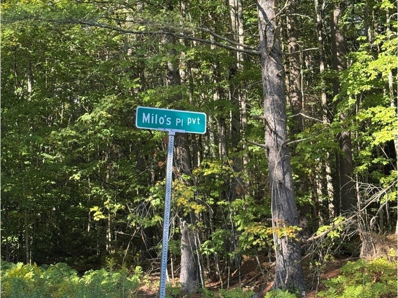 near 00 Frank