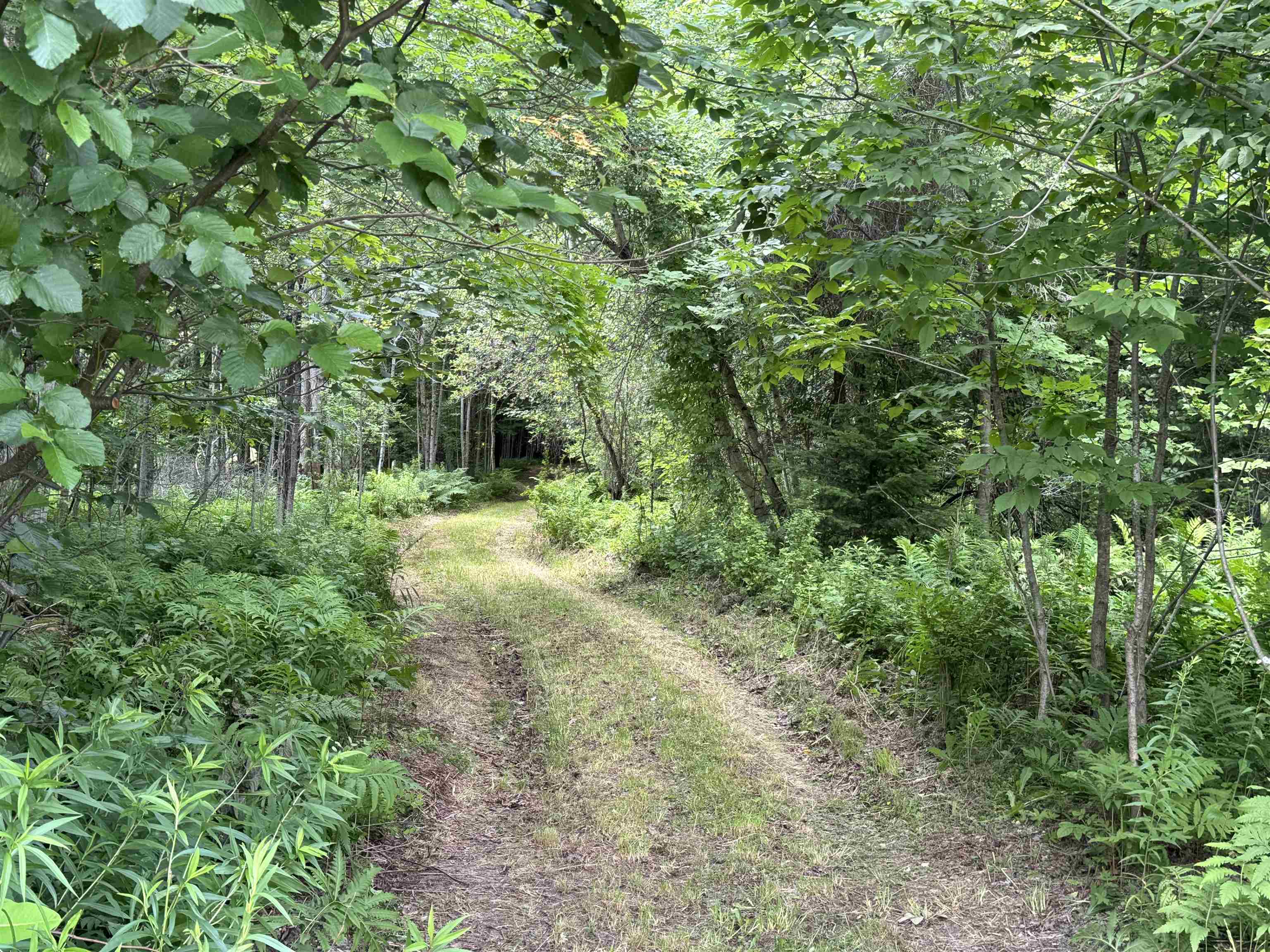 near Lot 0 Darling Road Morristown, VT 05661 Property 2 near Lot 0 Darling Road Morristown, VT 05661 Property 2