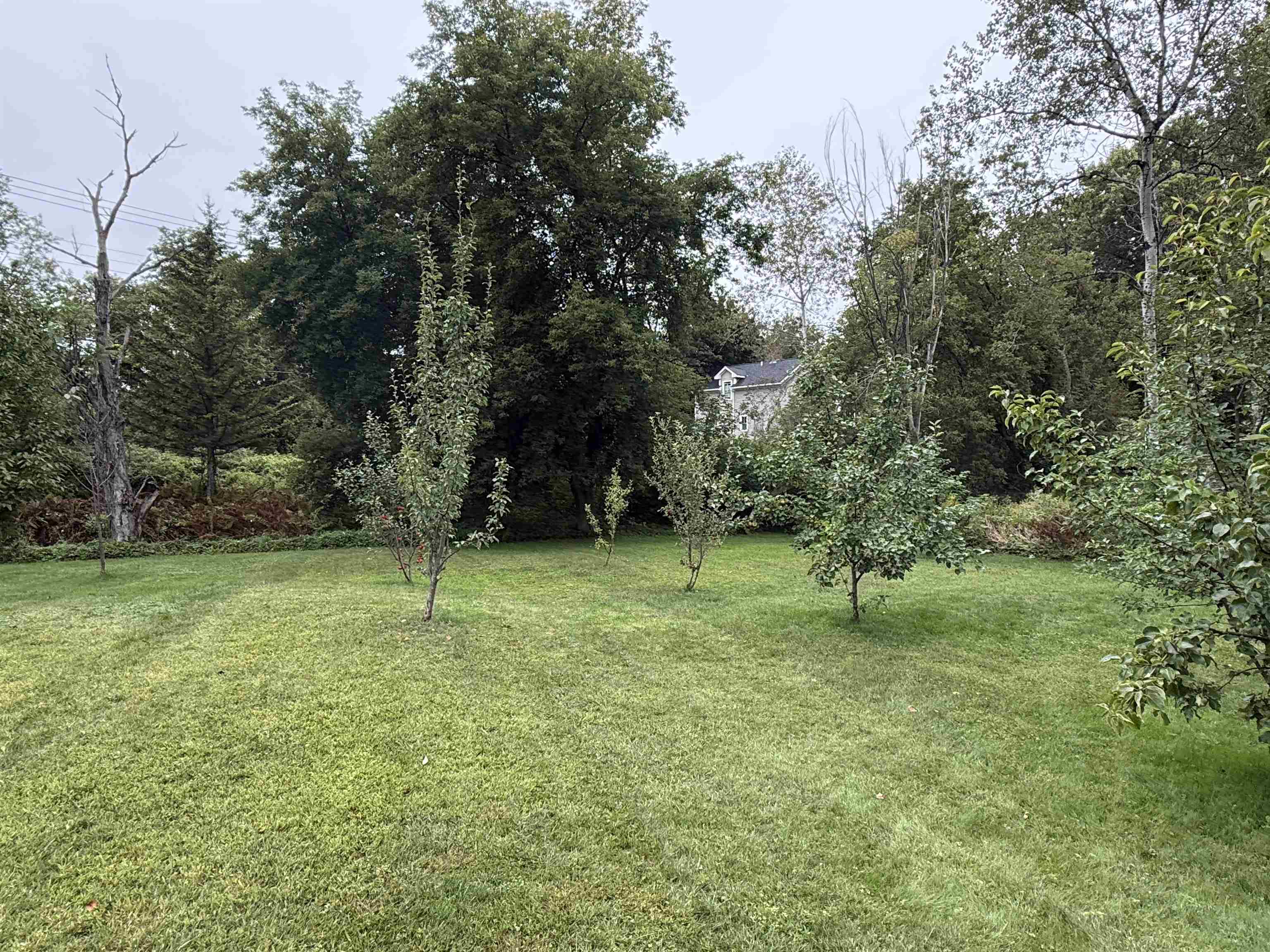 7 River Road photo 13