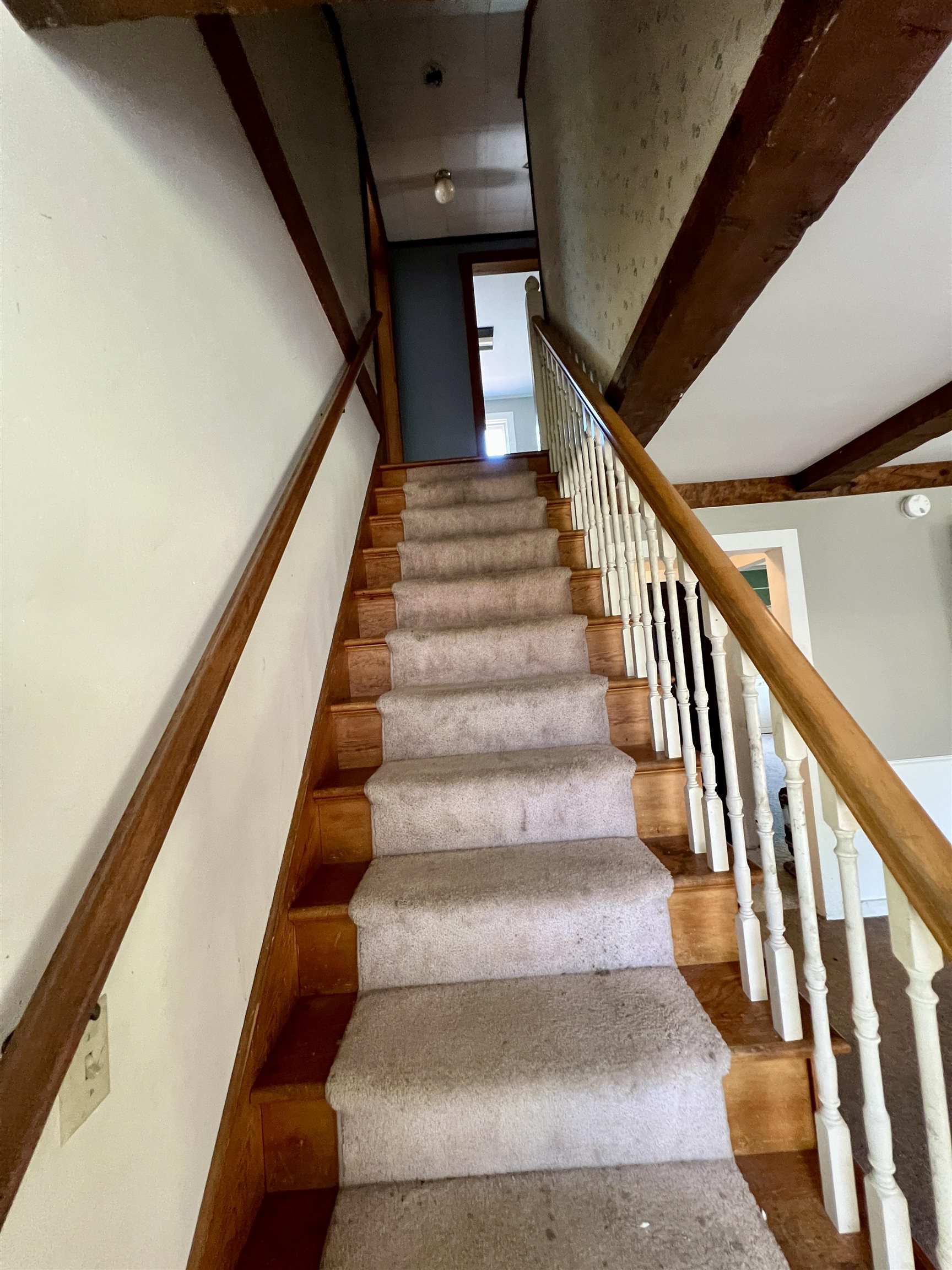 159 Riverdale Road photo 16