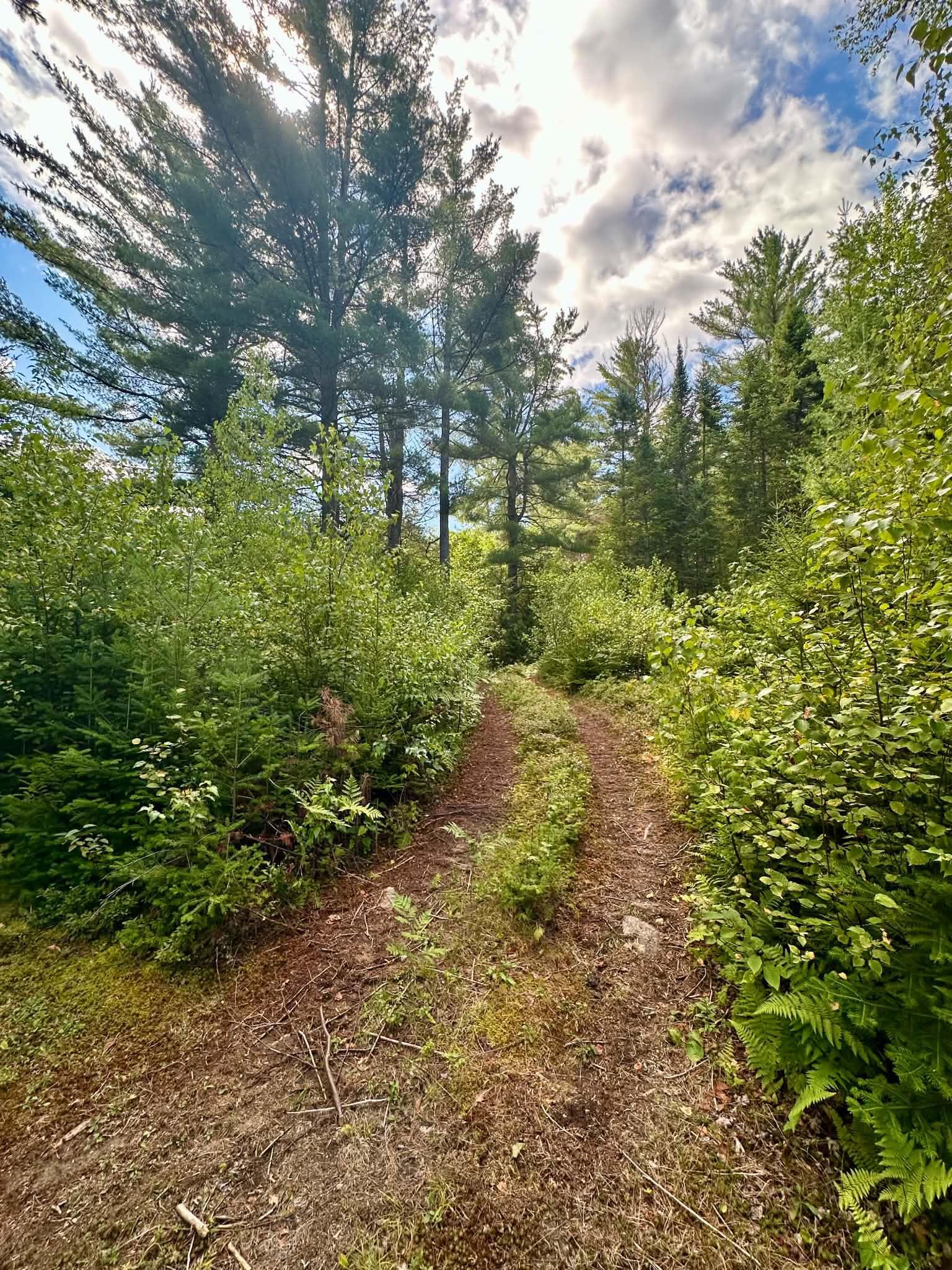 5077 VT Route 105 photo 16