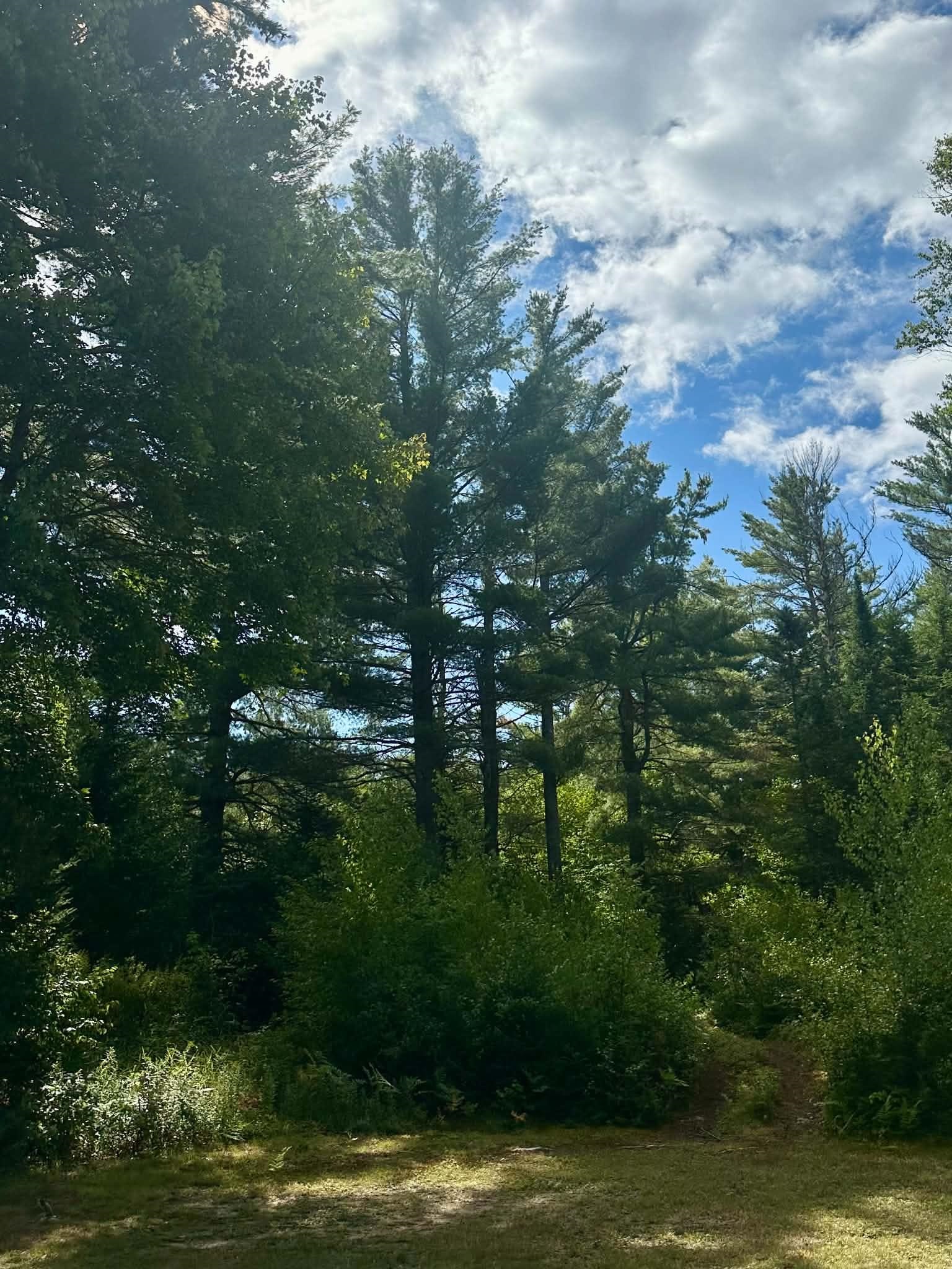 5077 VT Route 105 photo 19