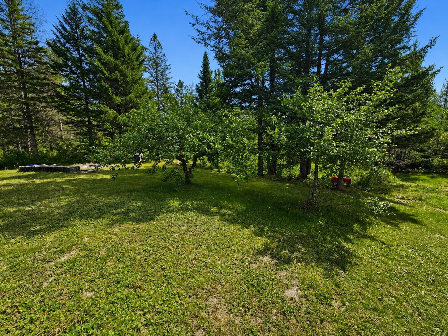 3790 Head of the Pond Road photo 31
