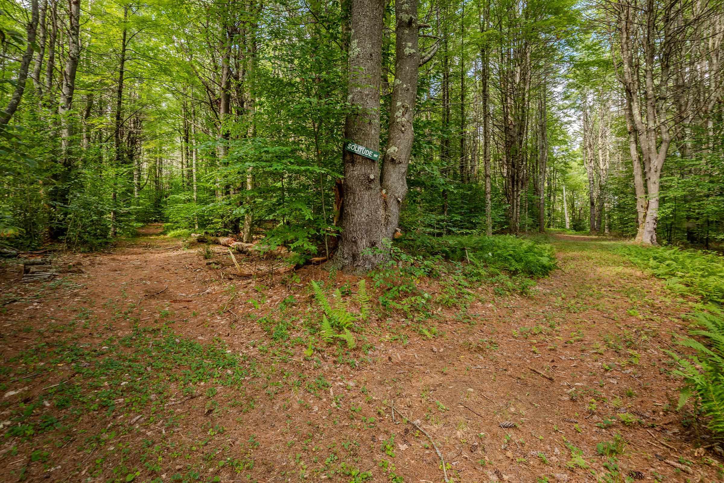 1260 Grafton Road photo 44