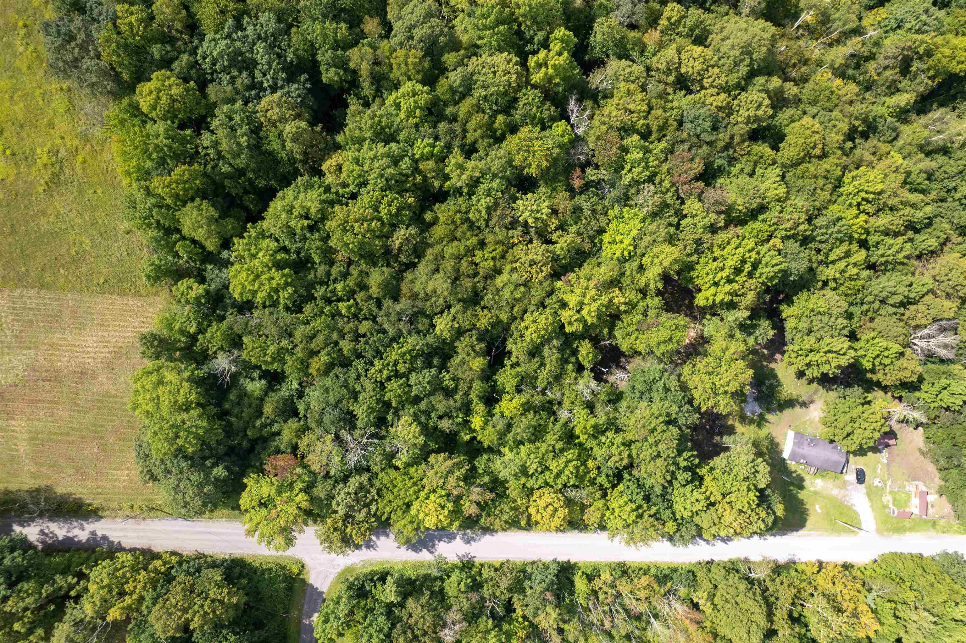 00 Coy Hill Road photo 6