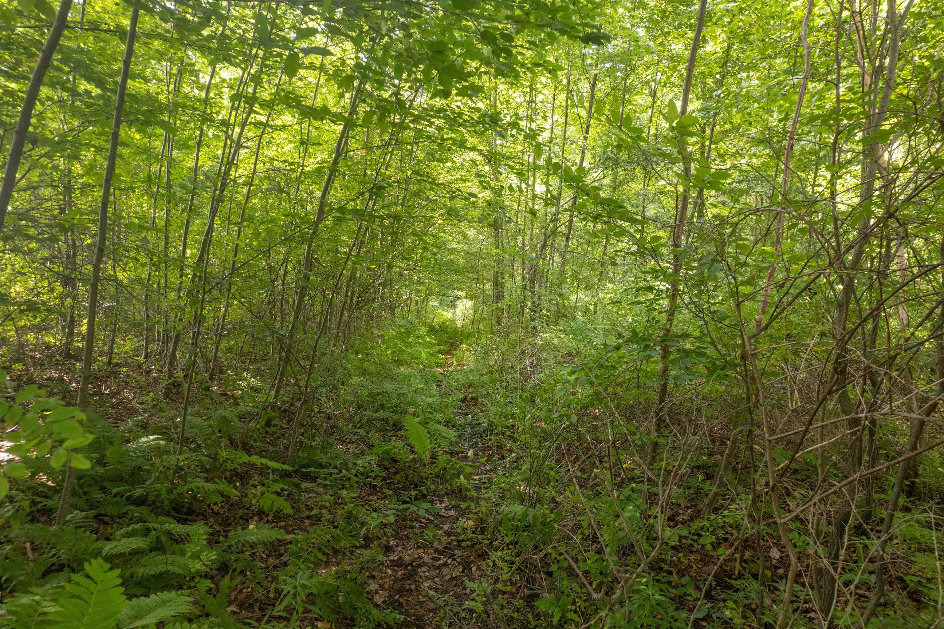 00 Coy Hill Road photo 7