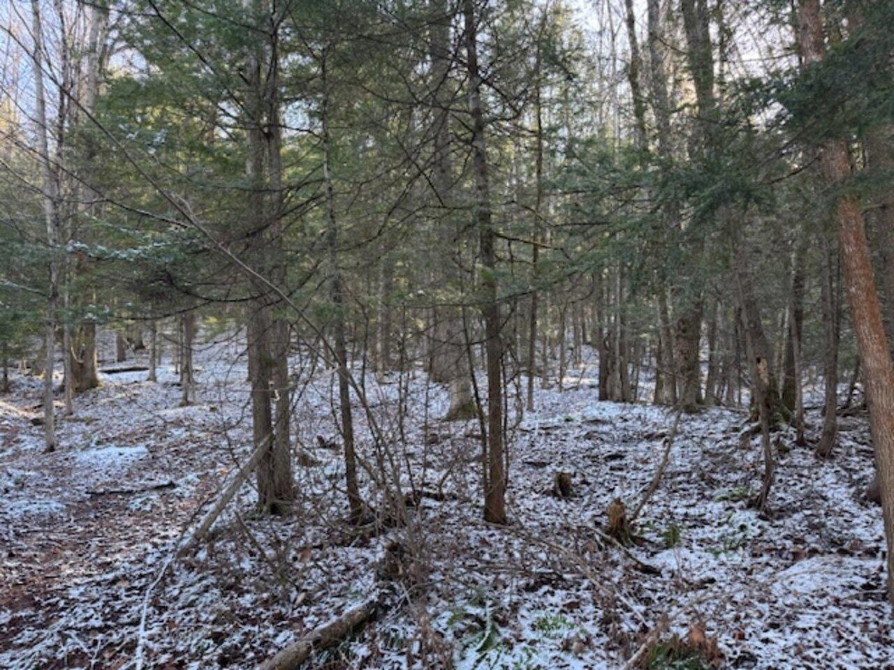 near TBD Middle Road Barre Town, VT 05641 Property 4