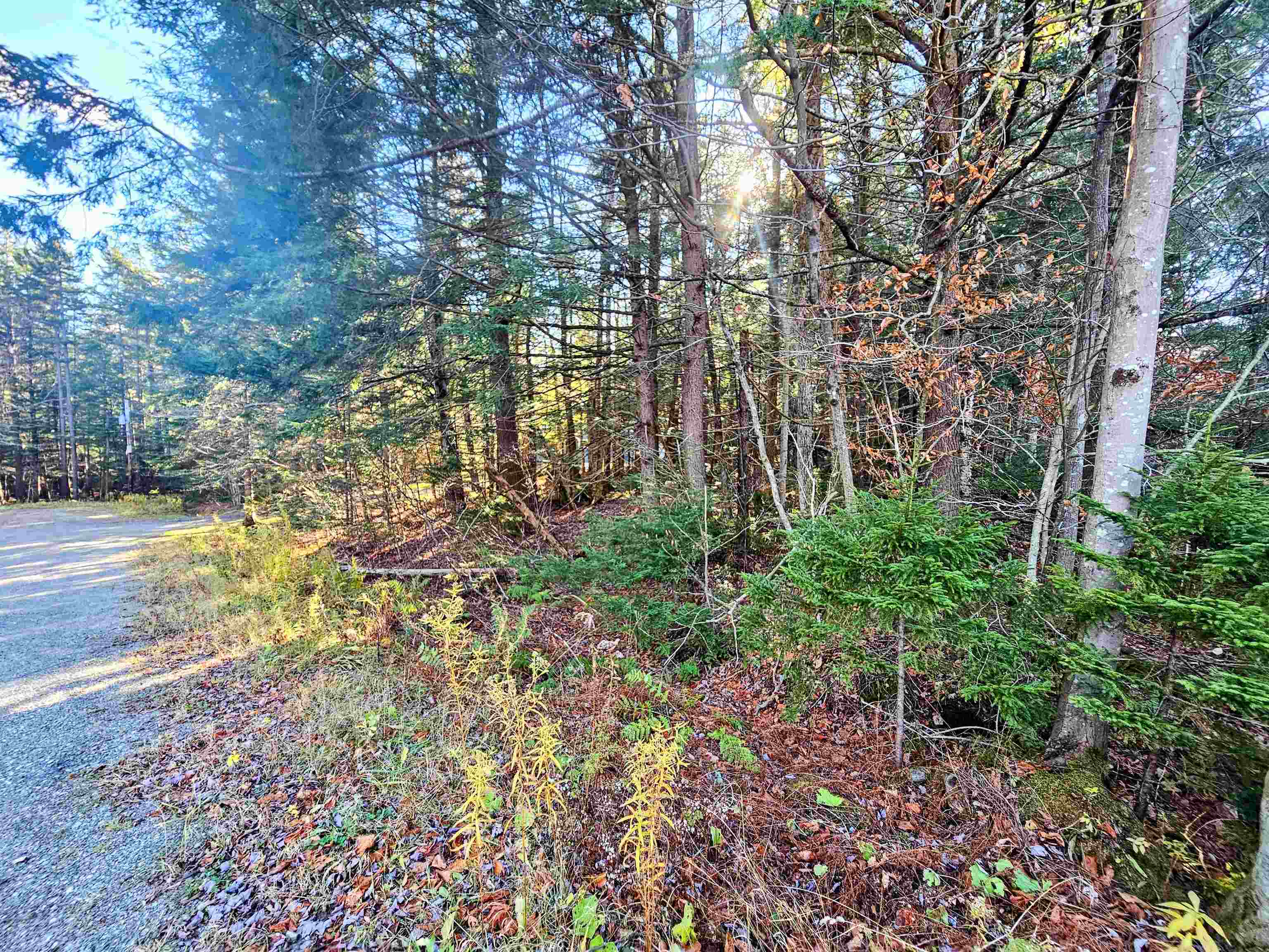 near 9 Sun and Ski Road Wilmington, VT 05363 Property 4 near 9 Sun and Ski Road Wilmington, VT 05363 Property 4