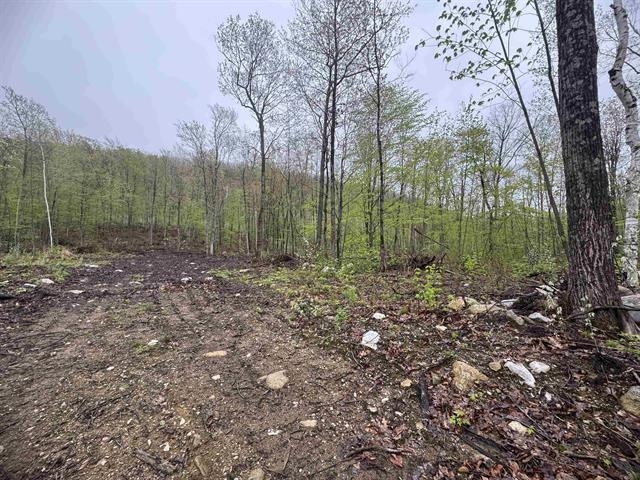 near 38 Martha near 38 Martha