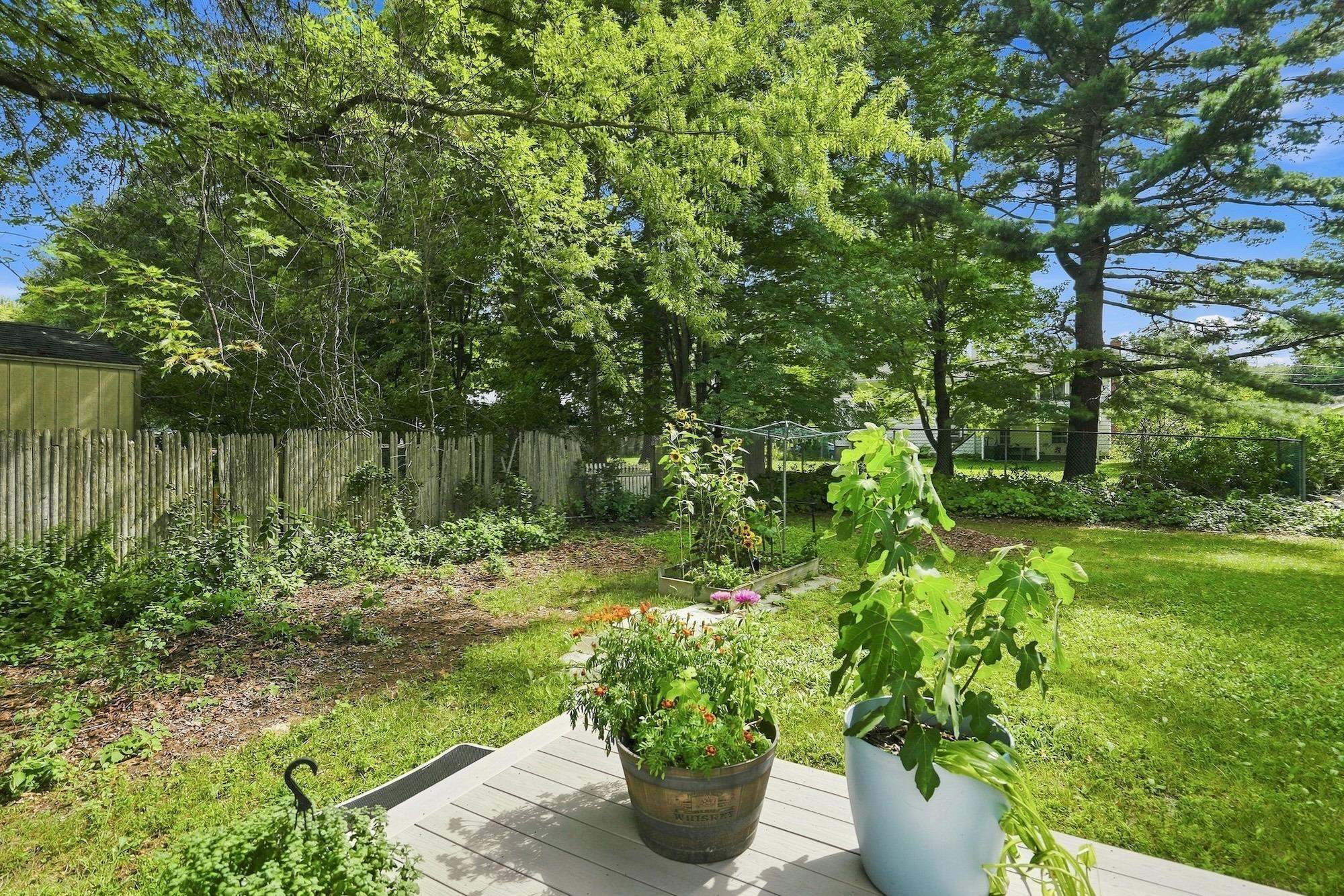 47 McIntosh Avenue photo 33