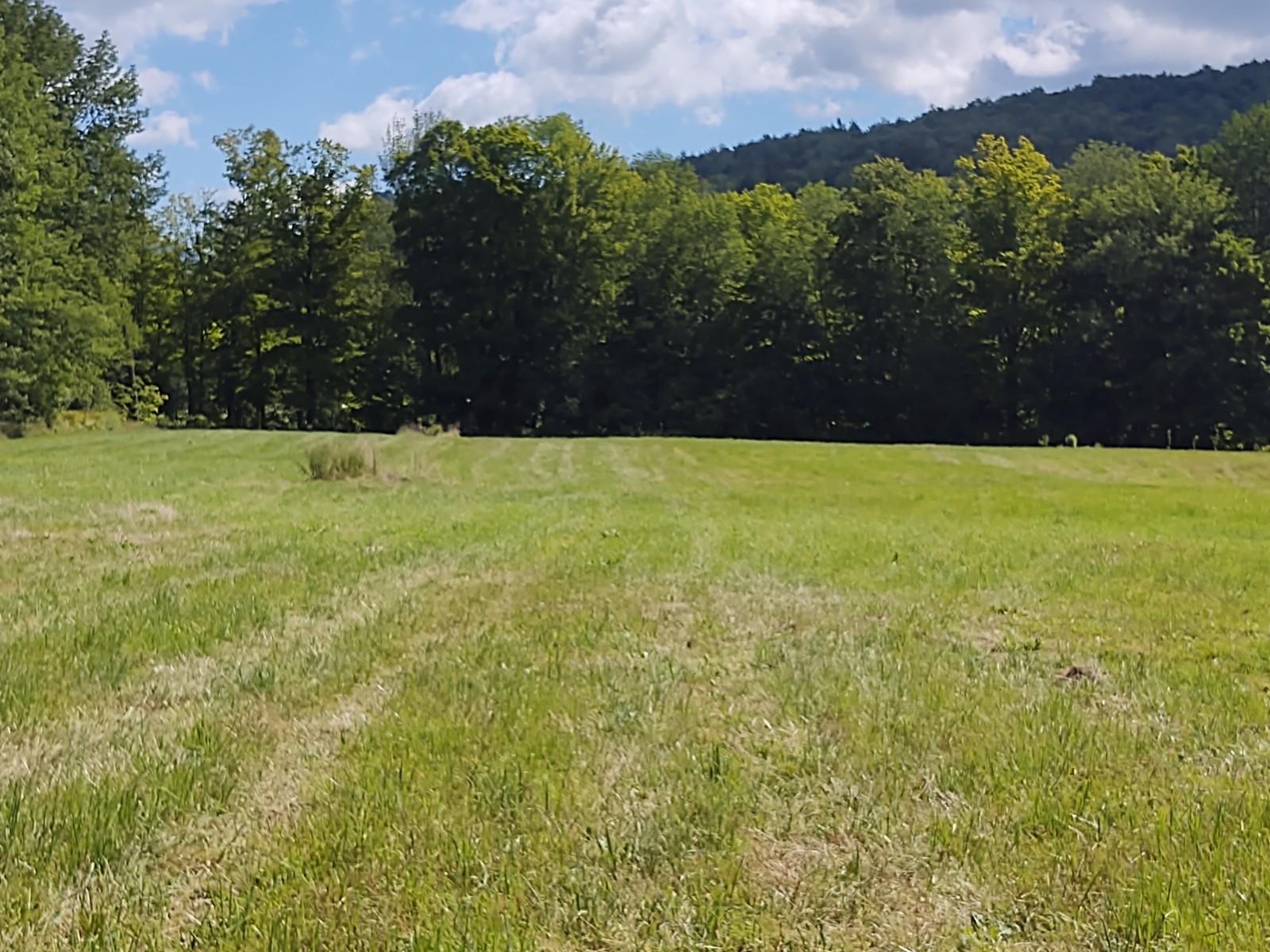 near 00 Thomas Drive Montgomery, VT 05471 Property 4