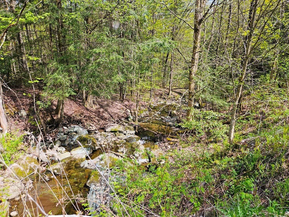 near 311, Lot 1 Main Street Richford, VT 05476 Property 2