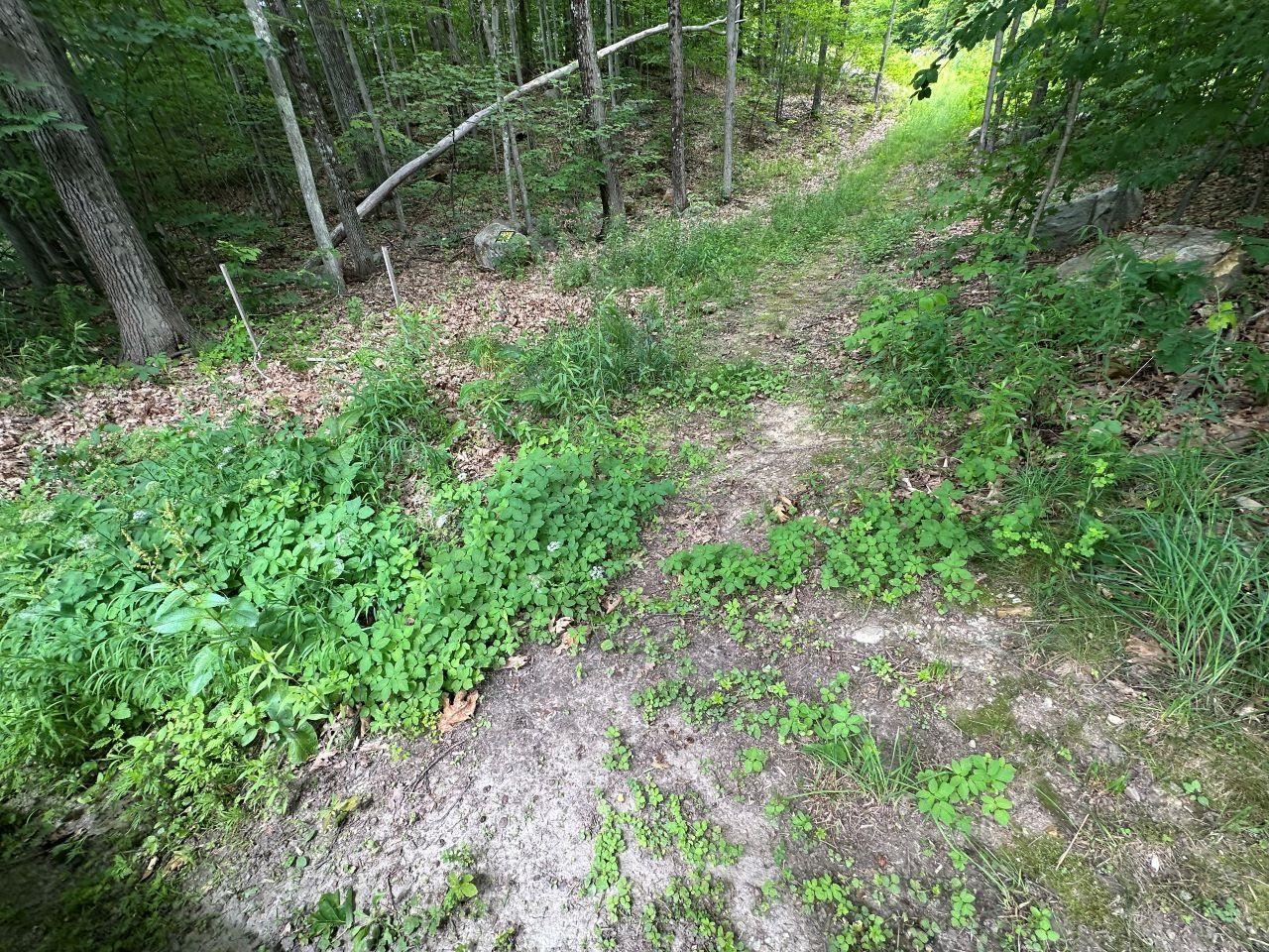 near 150 Upper Cold River Road Shrewsbury, VT 05738 Property 1