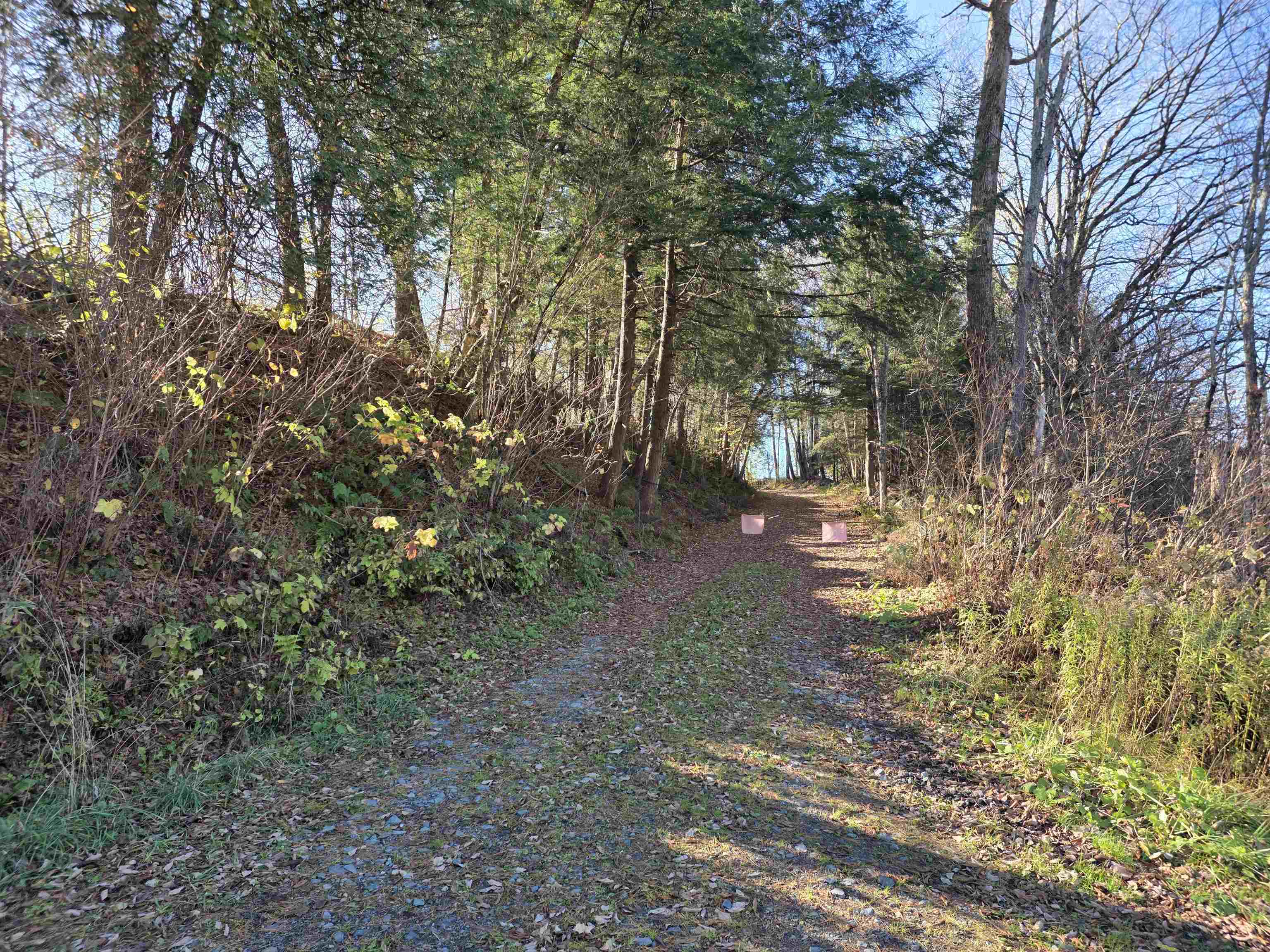000 US Route 2 photo 10