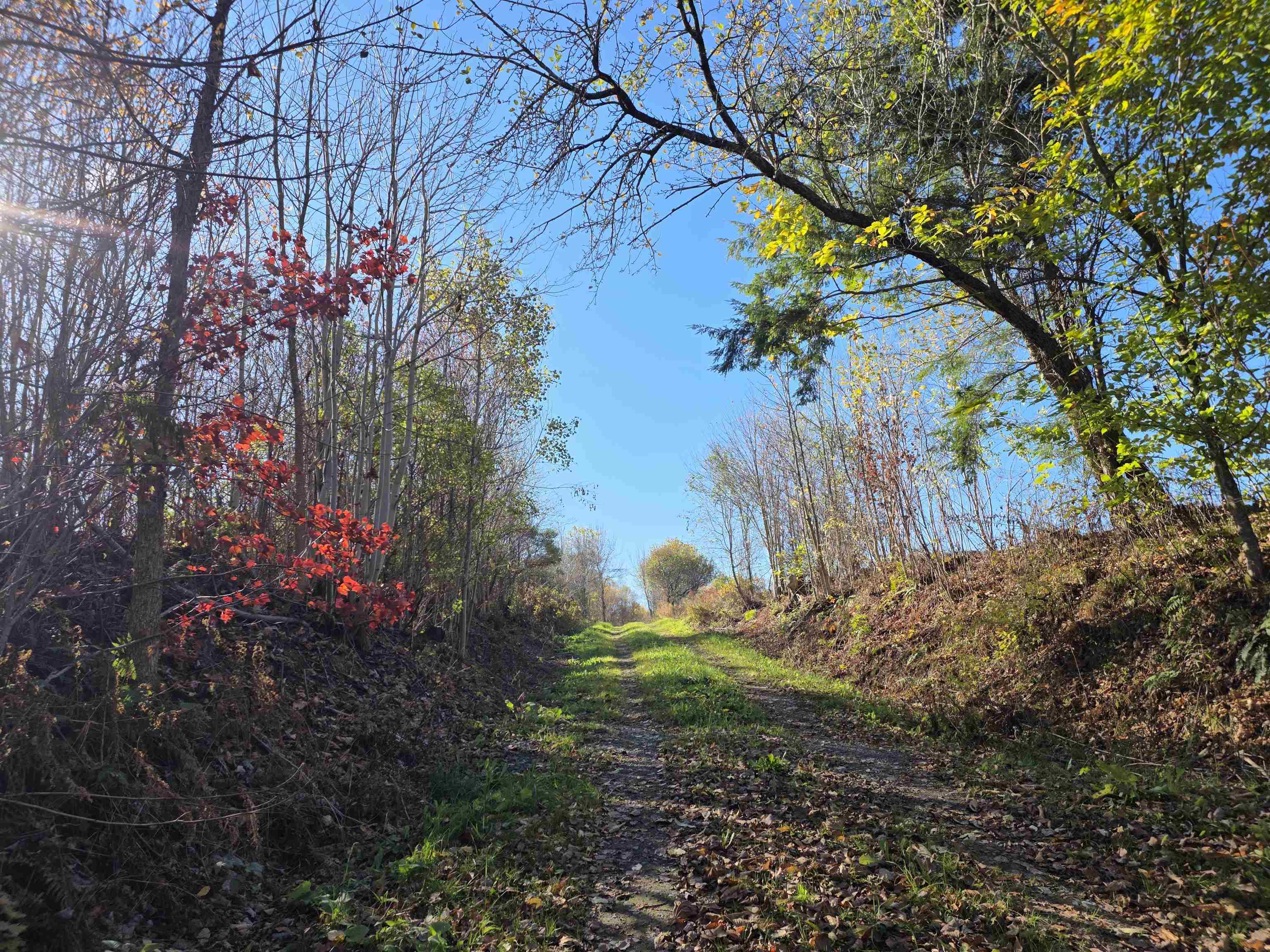000 US Route 2 photo 13